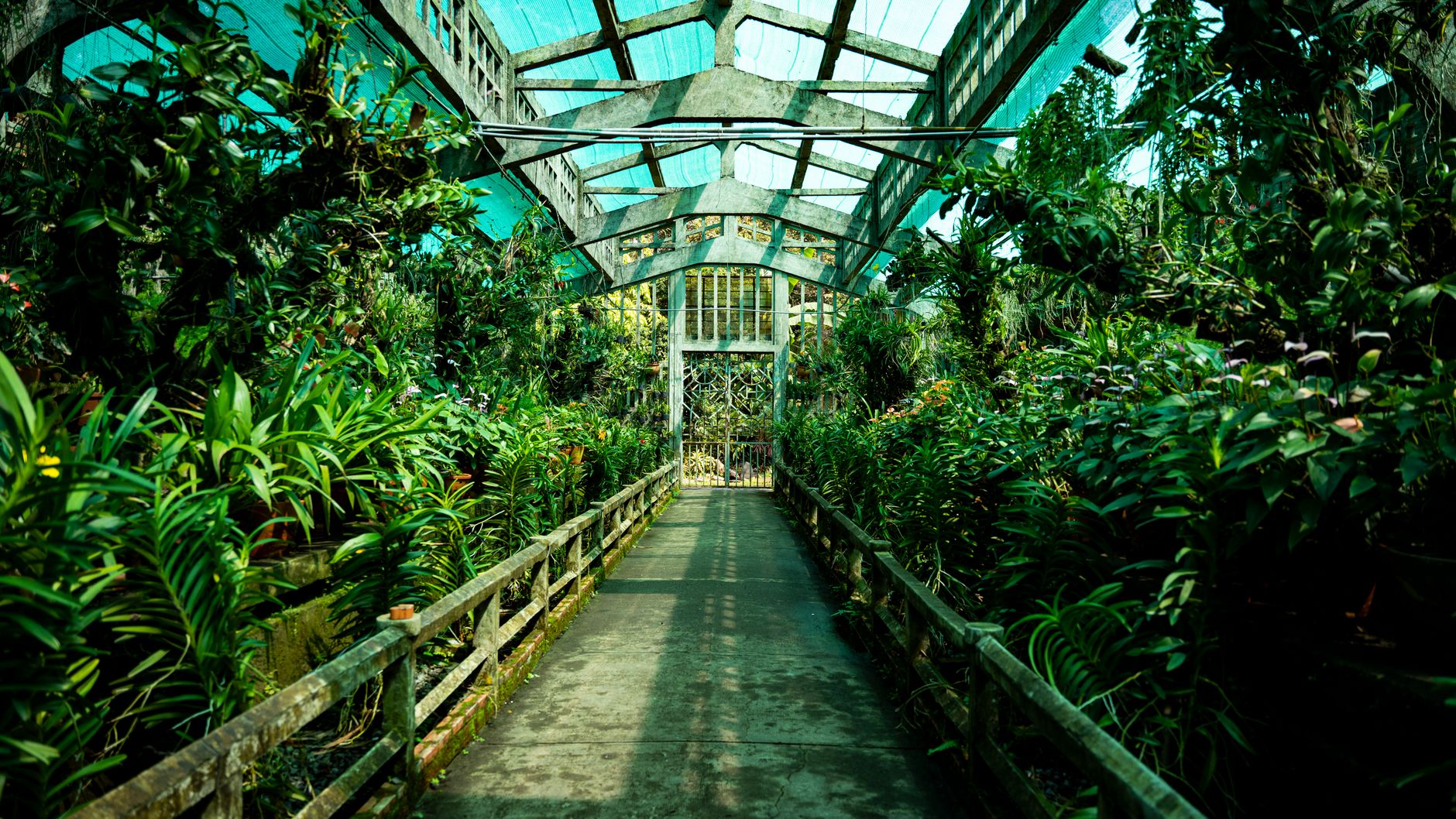 Exotic Plant Collection Pathways
