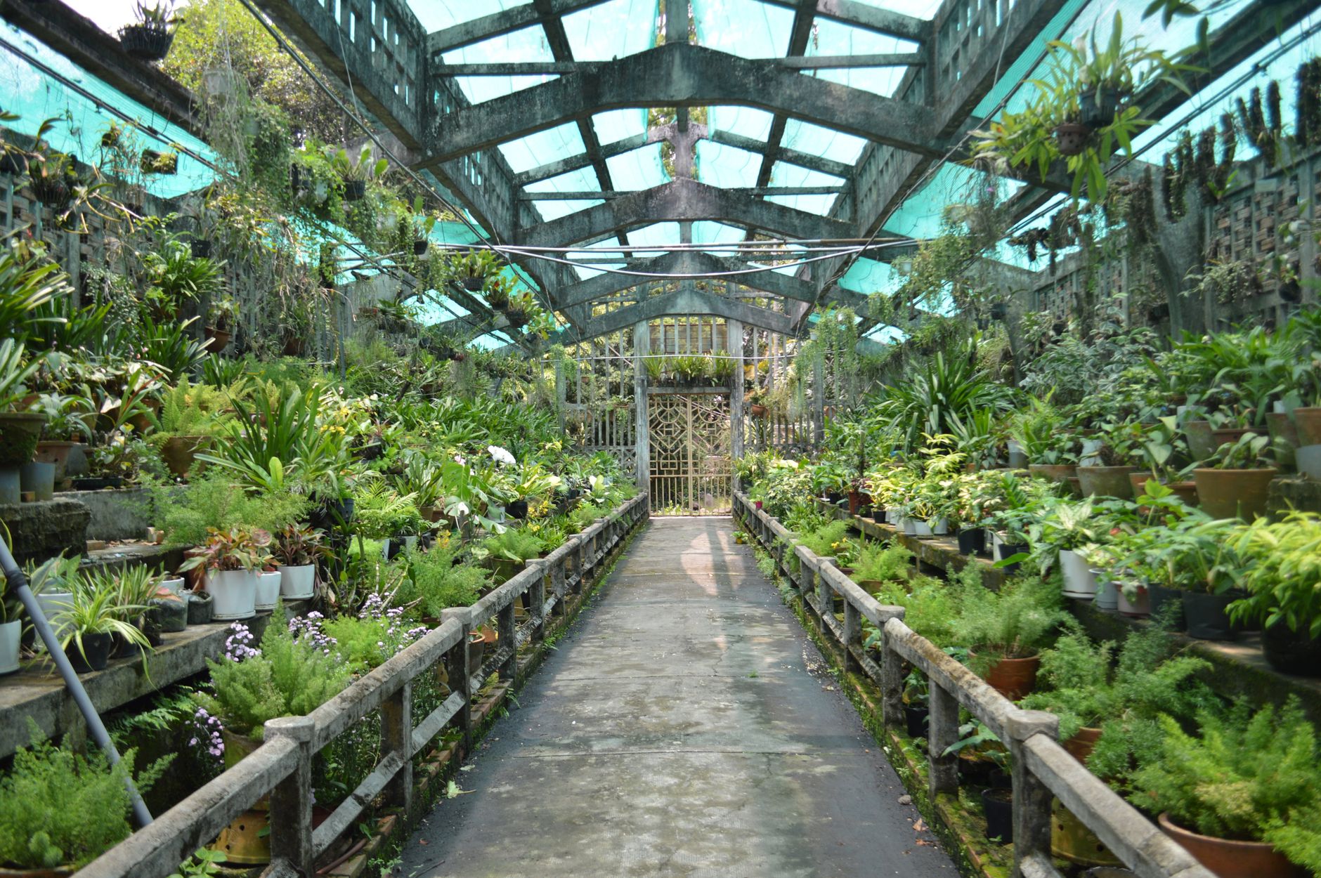 Exotic Plant Collection Pathways