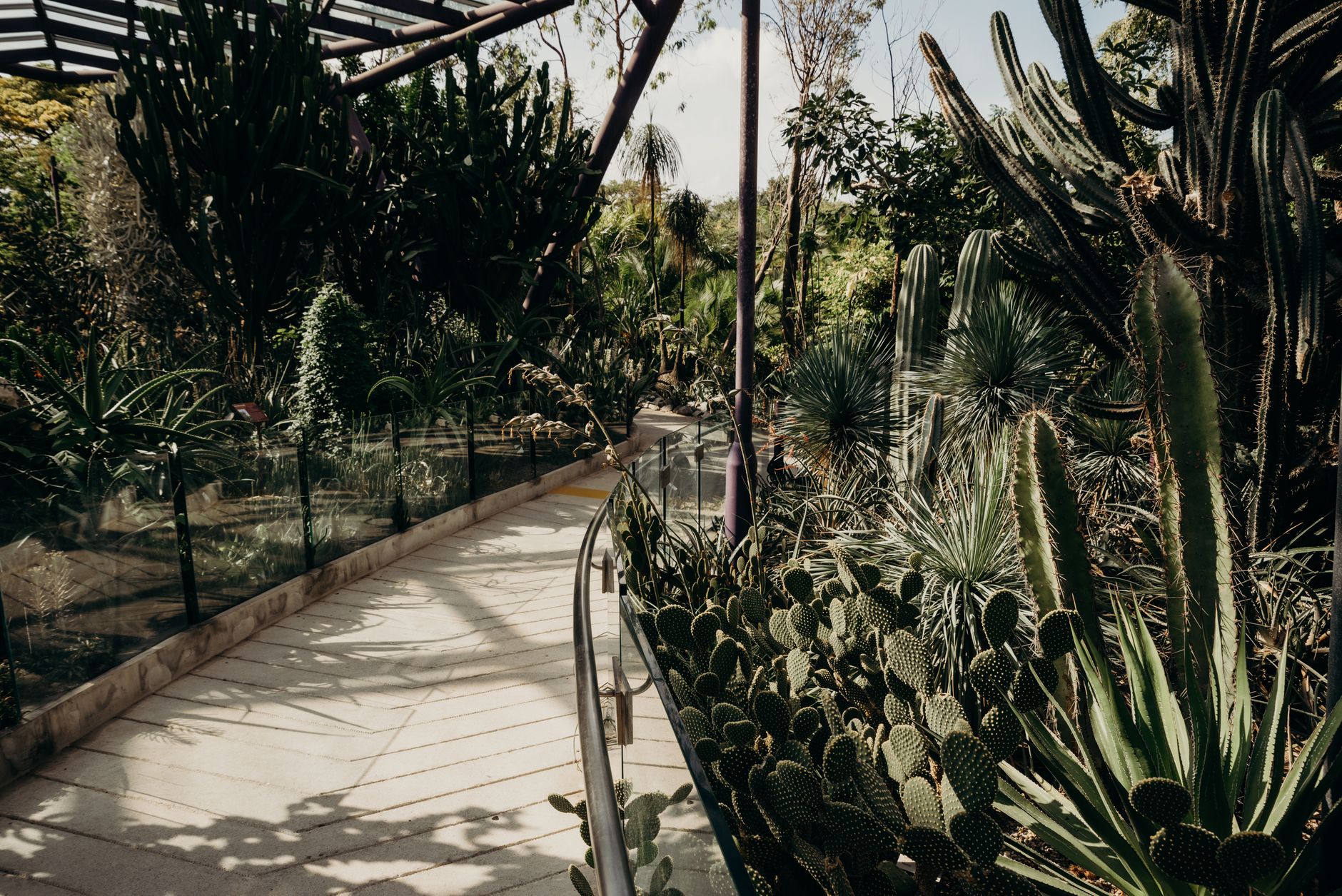Exotic Plant Collection Pathways