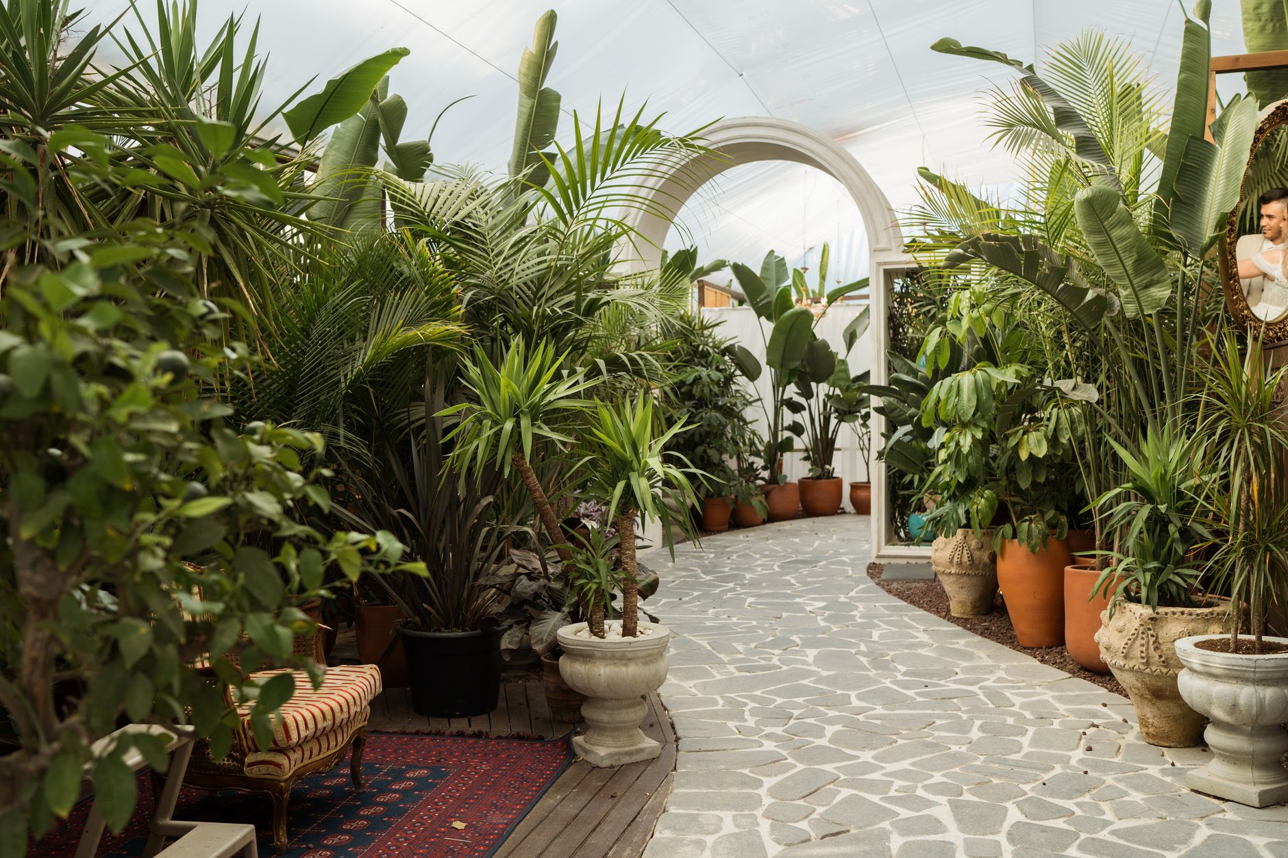 Exotic Plant Collection Pathways