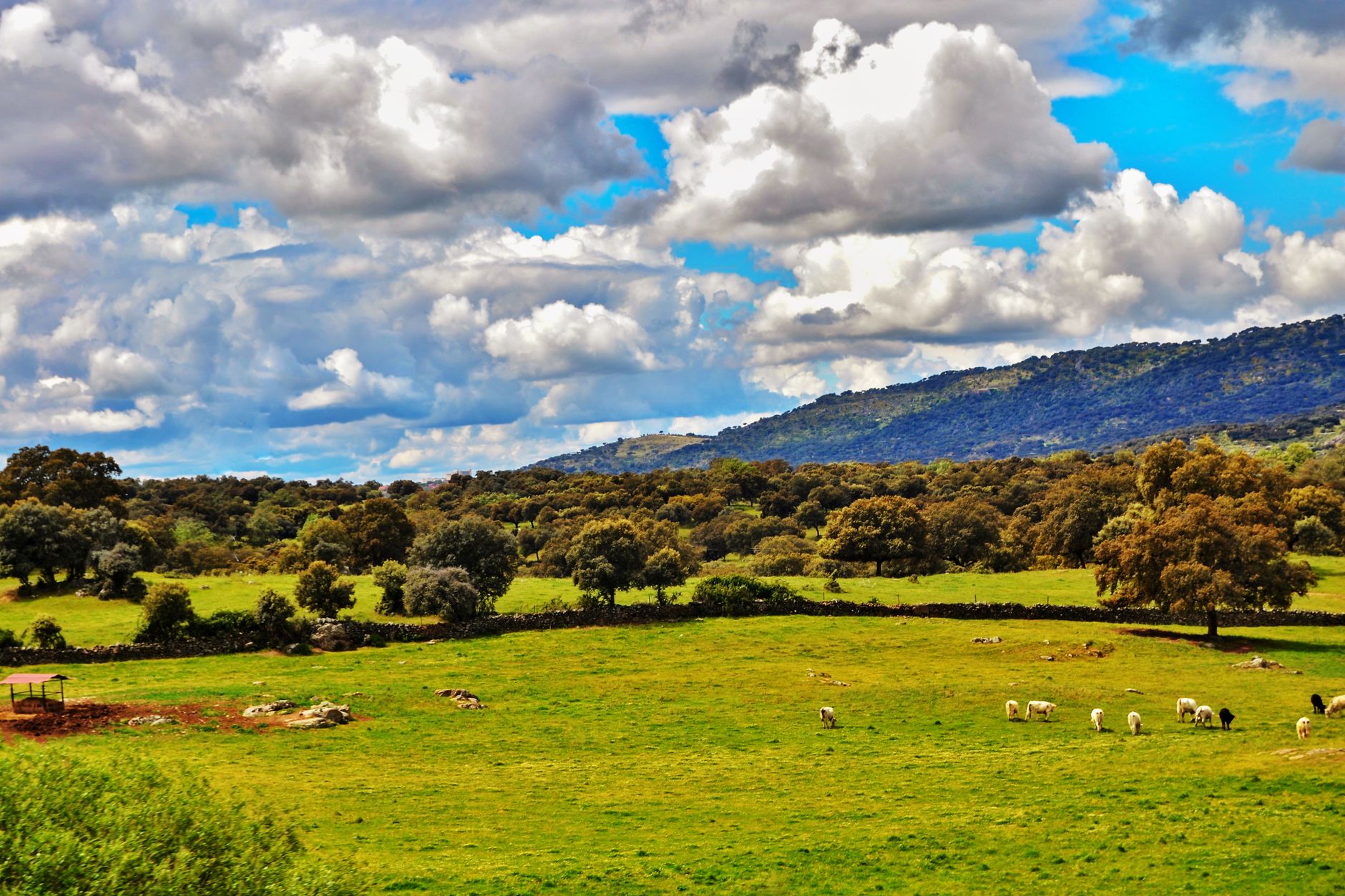 Extremadura