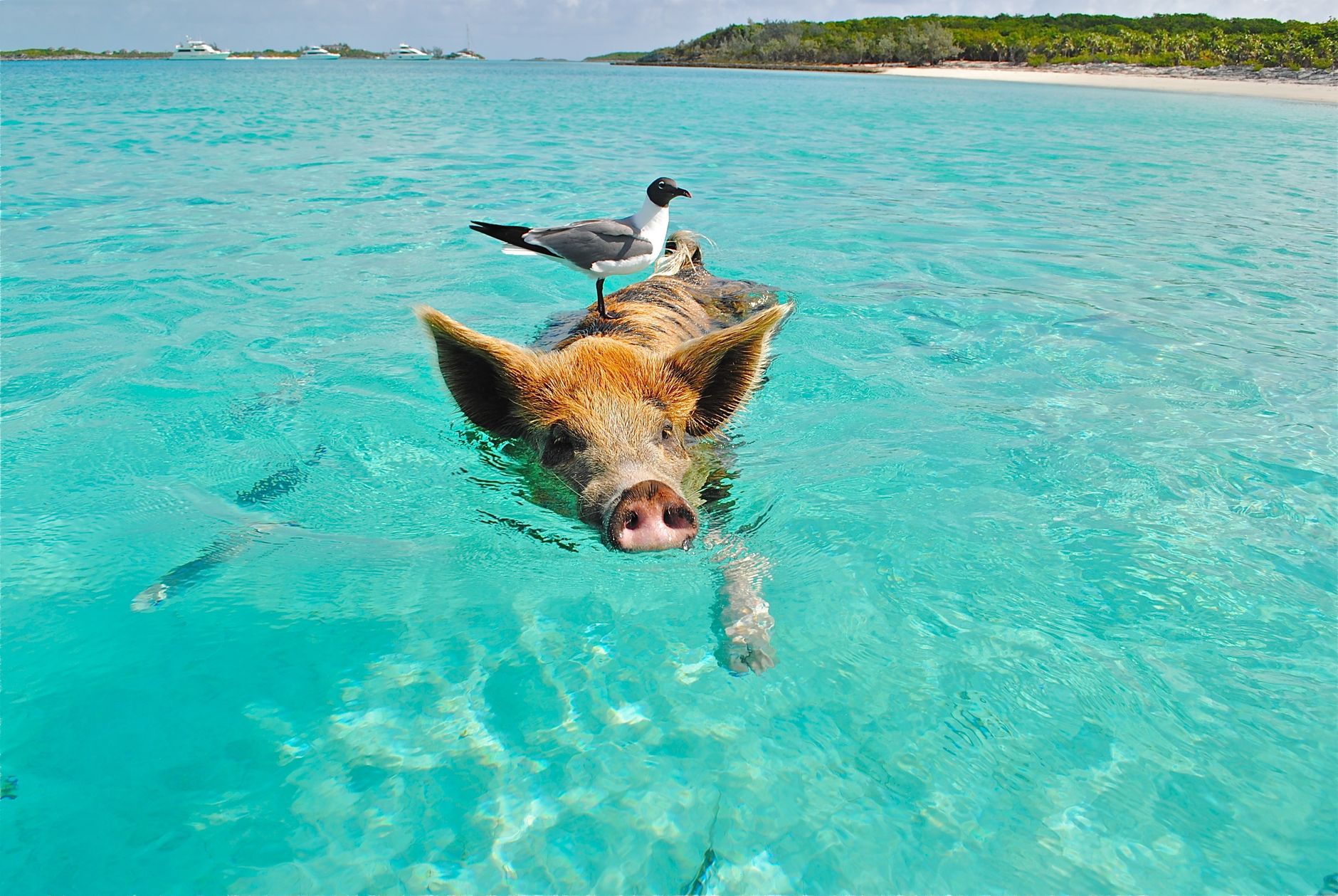Exuma