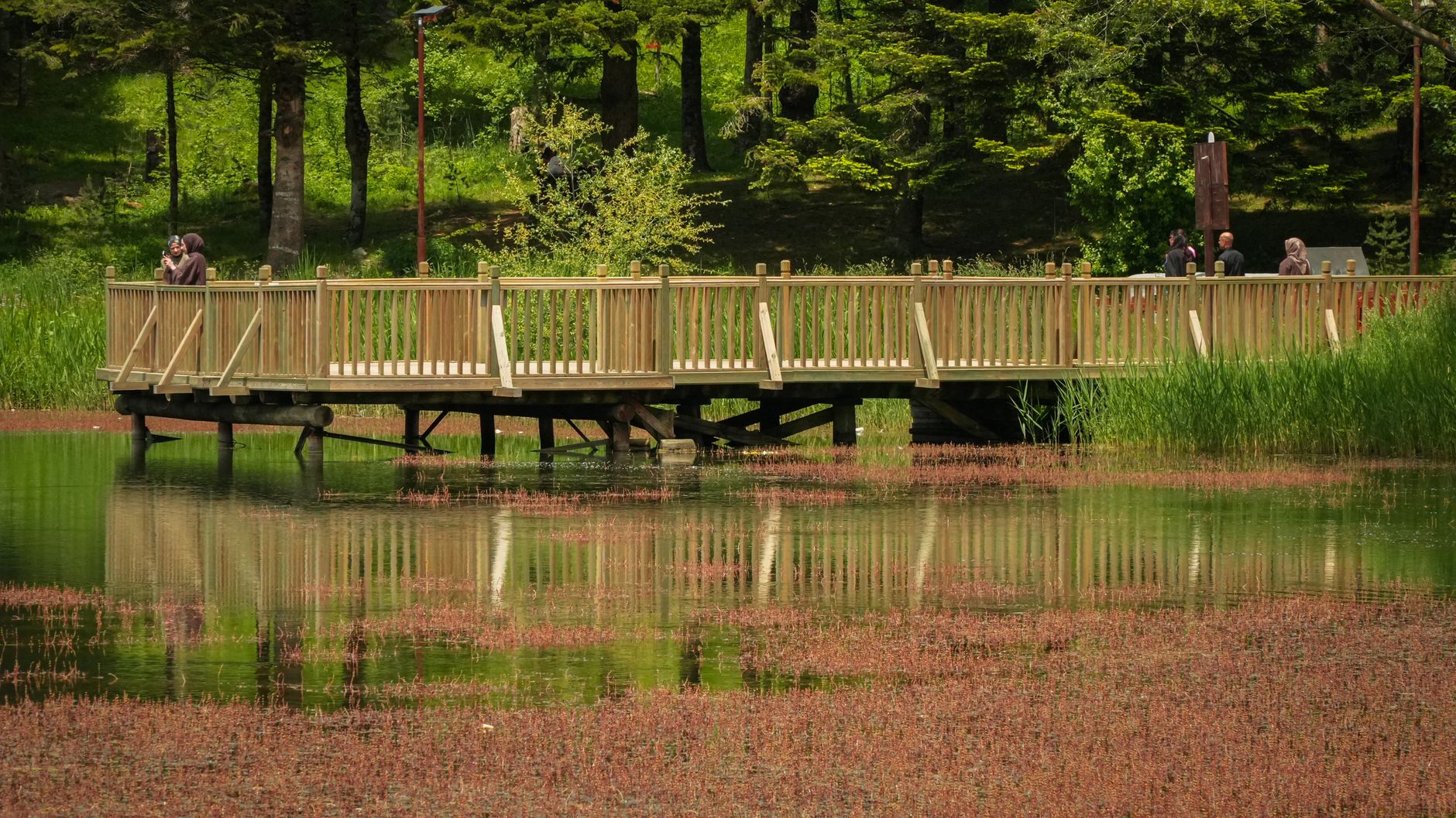 Fairy Springs
