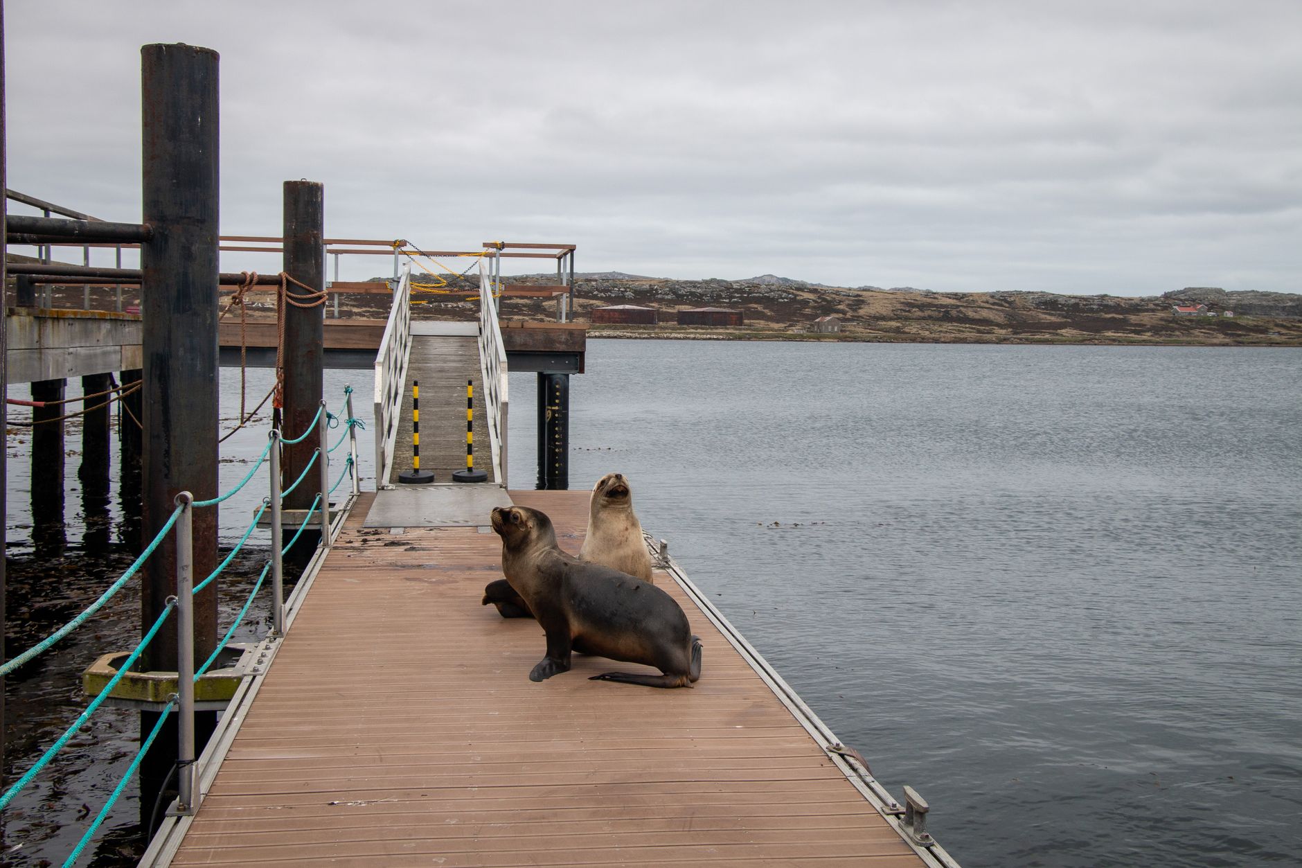 Falkland Islands