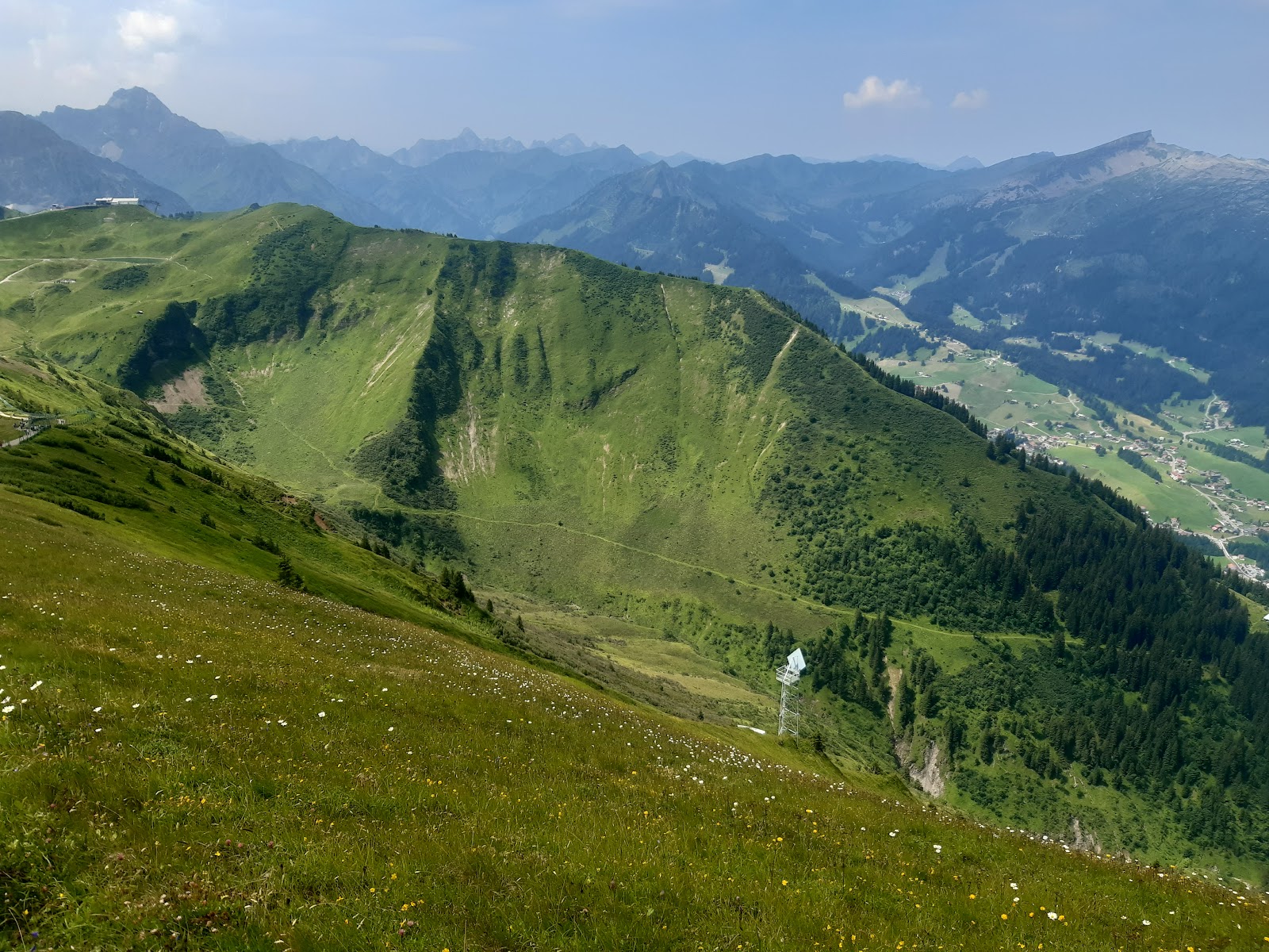 Fellhorn