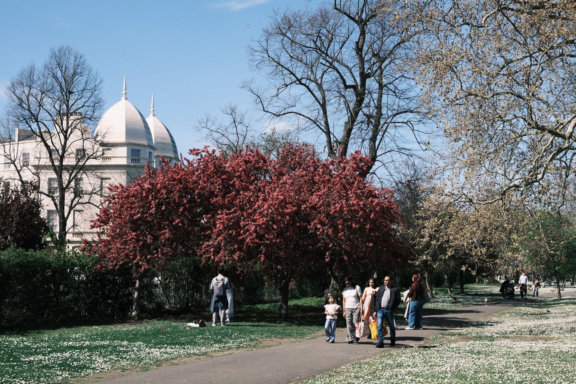 Fenton Park