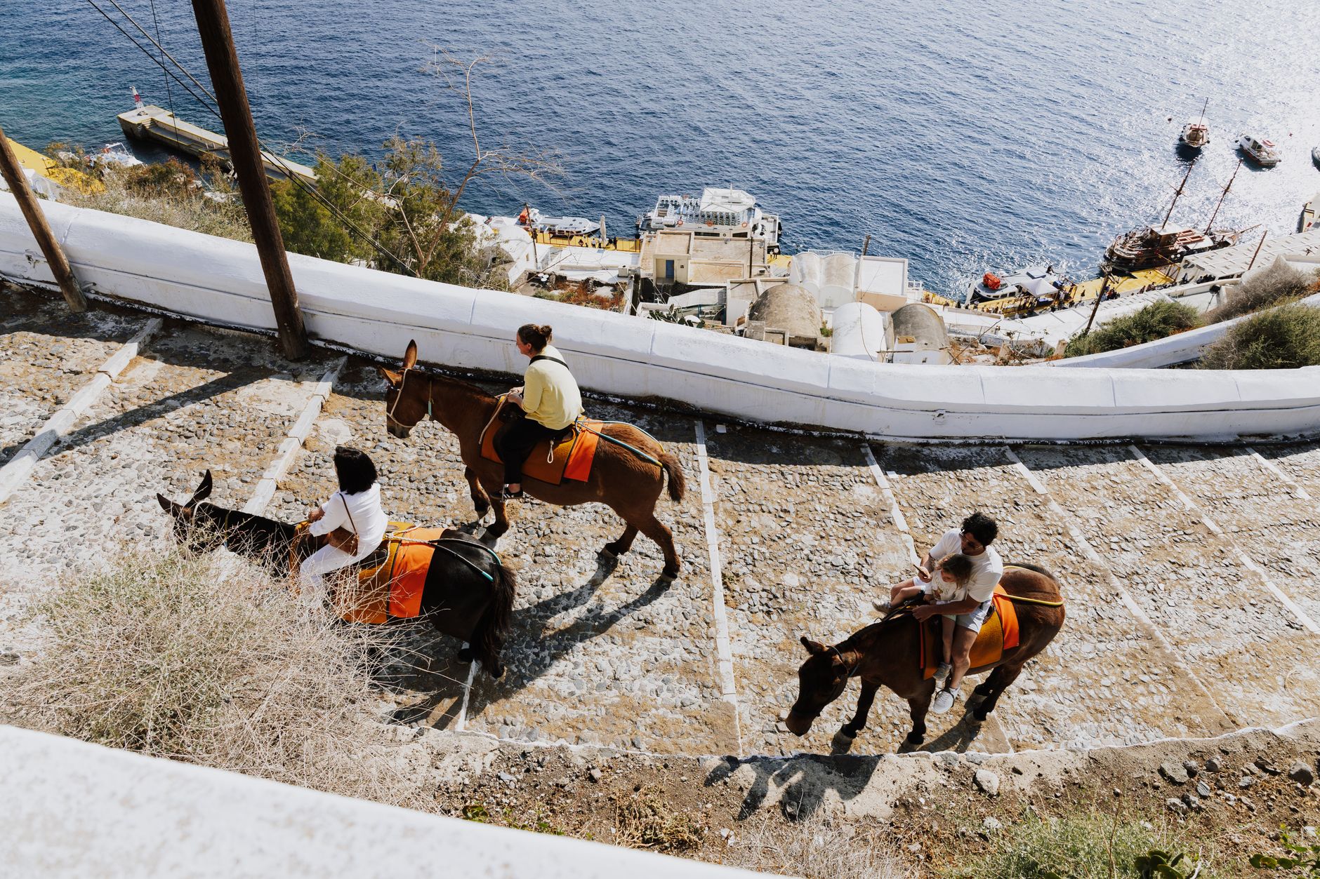 Fira