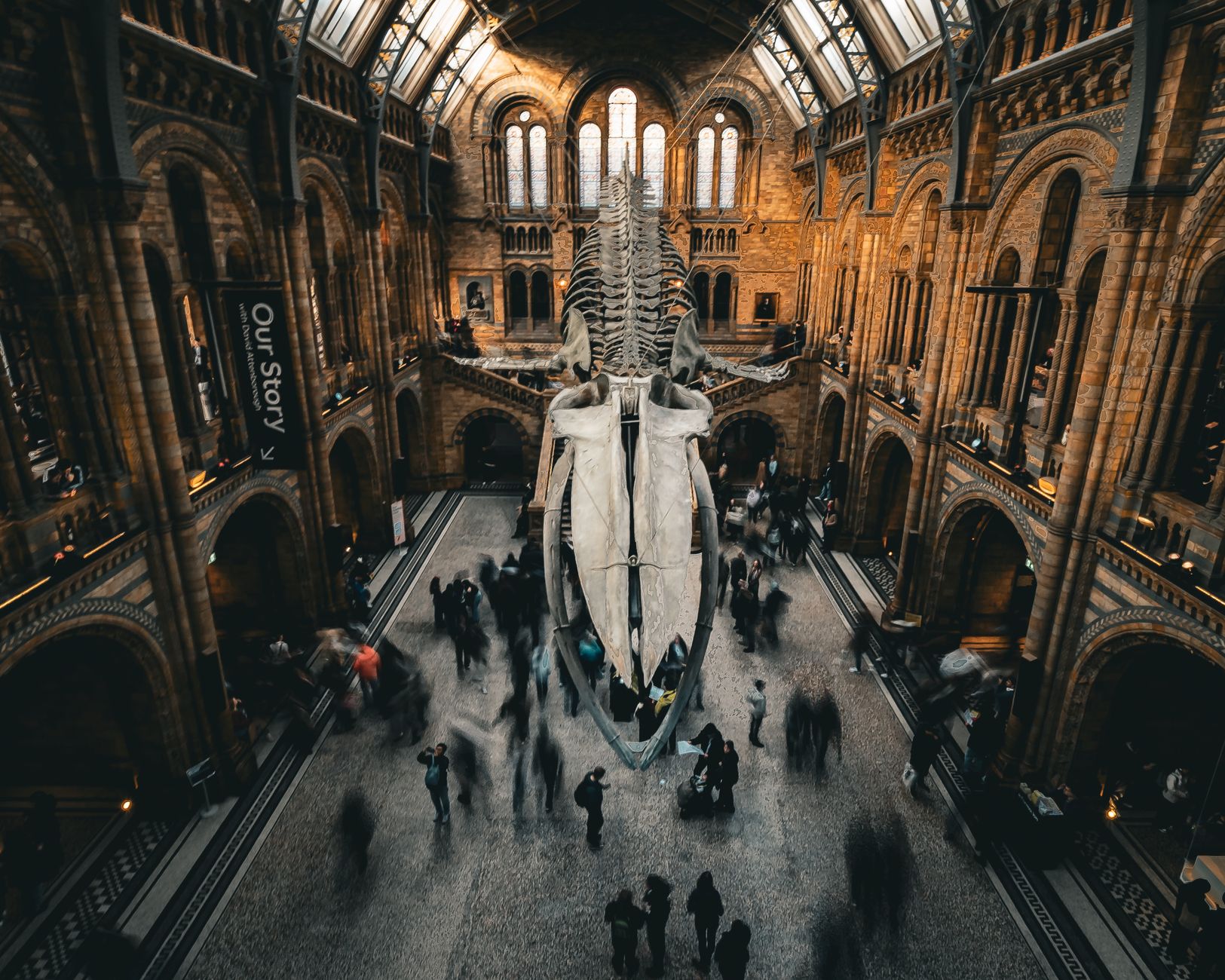 Fitzwilliam Museum