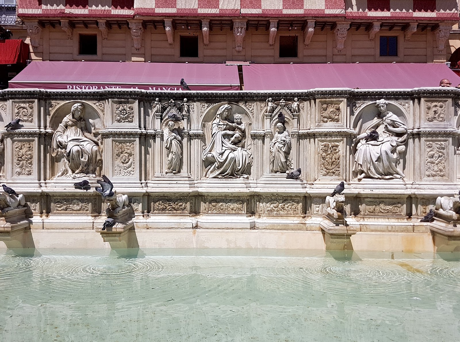 Fonte Gaia