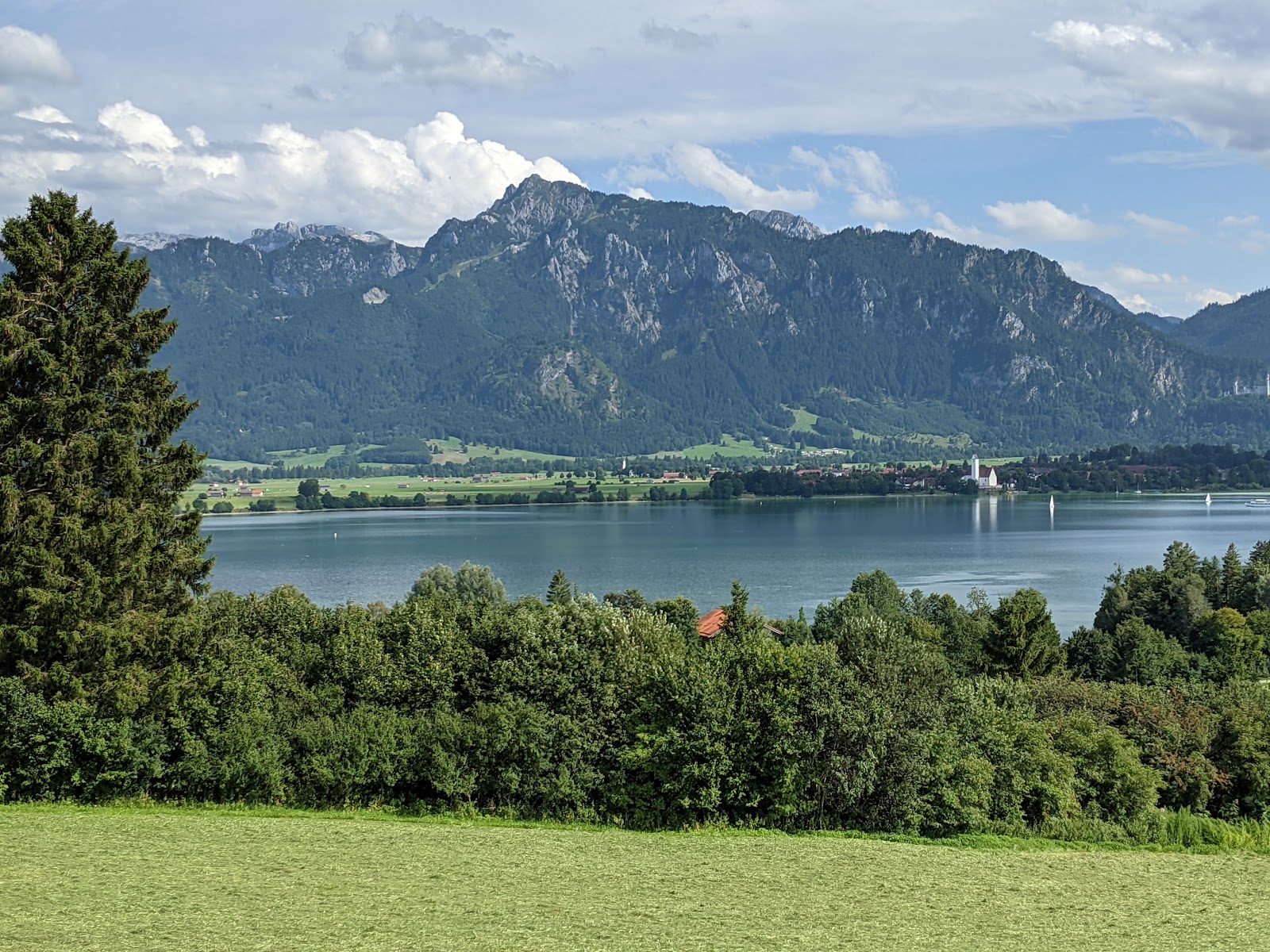 Forggensee