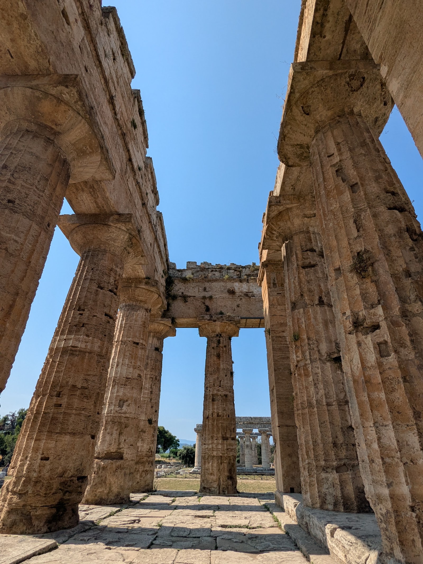 Forum of Paestum
