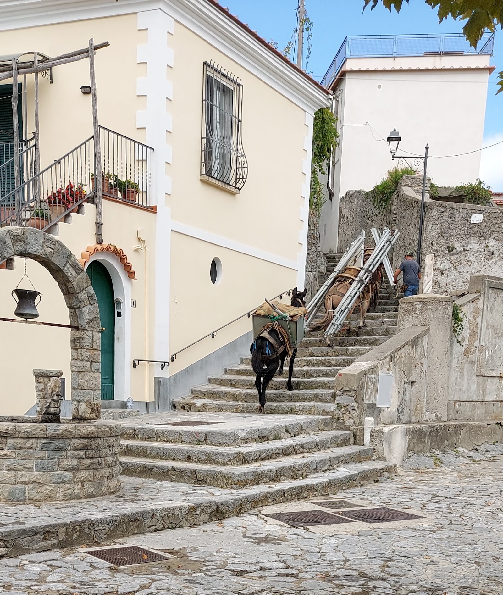 Frazione Minuta
