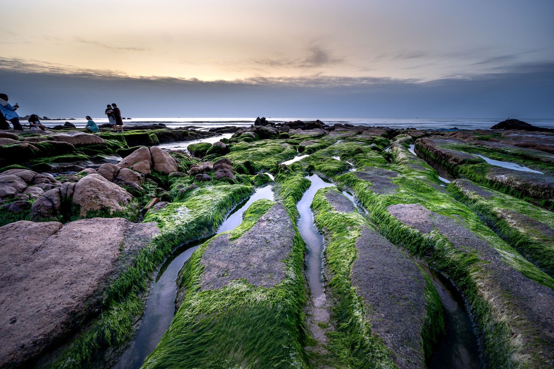 Freshwater