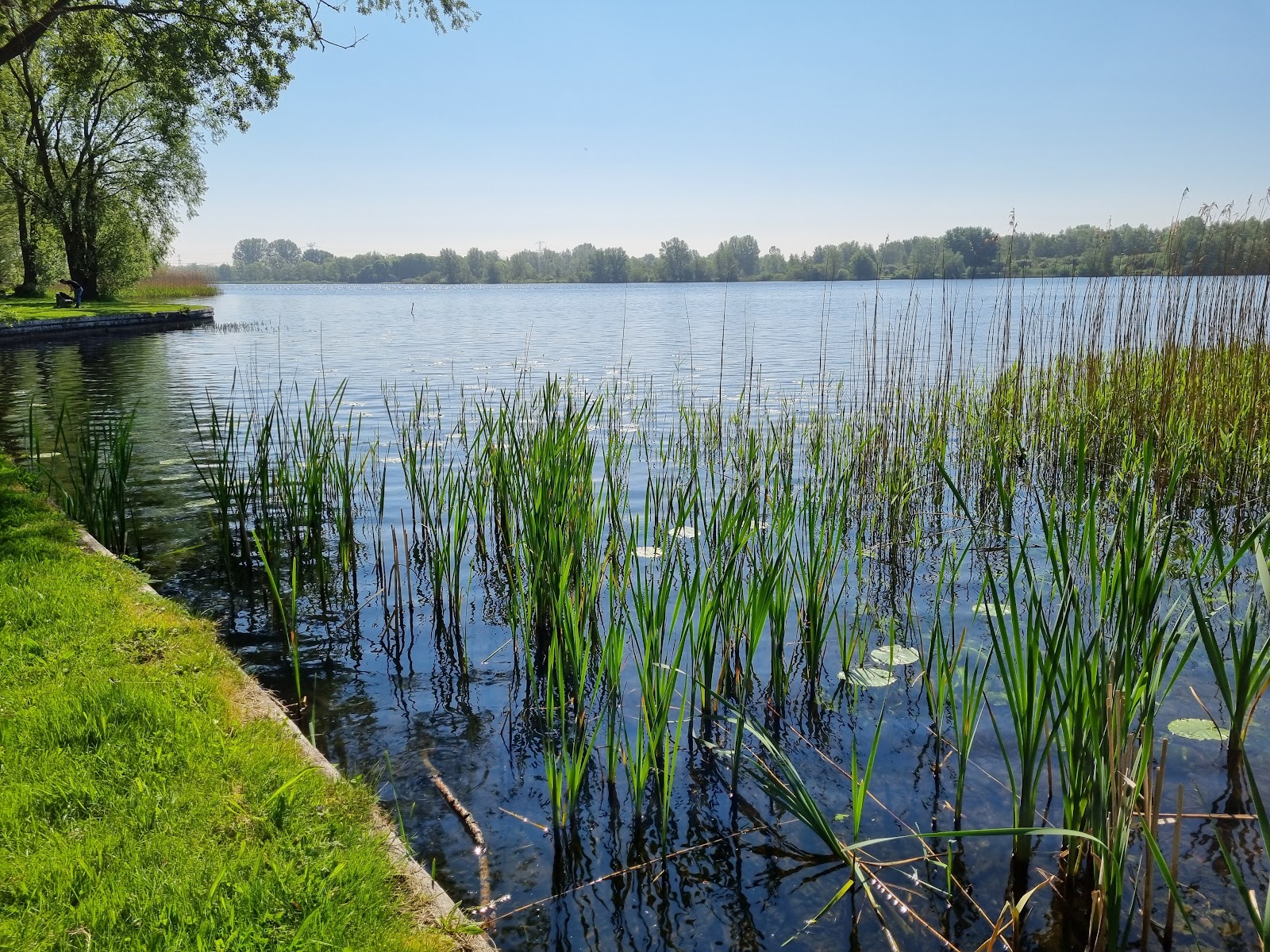 Gaasperplaspark