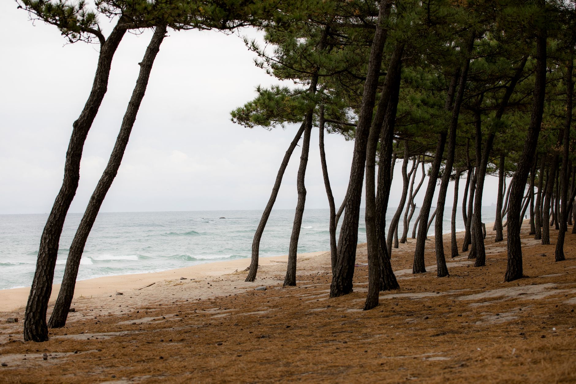 Gangwon Province