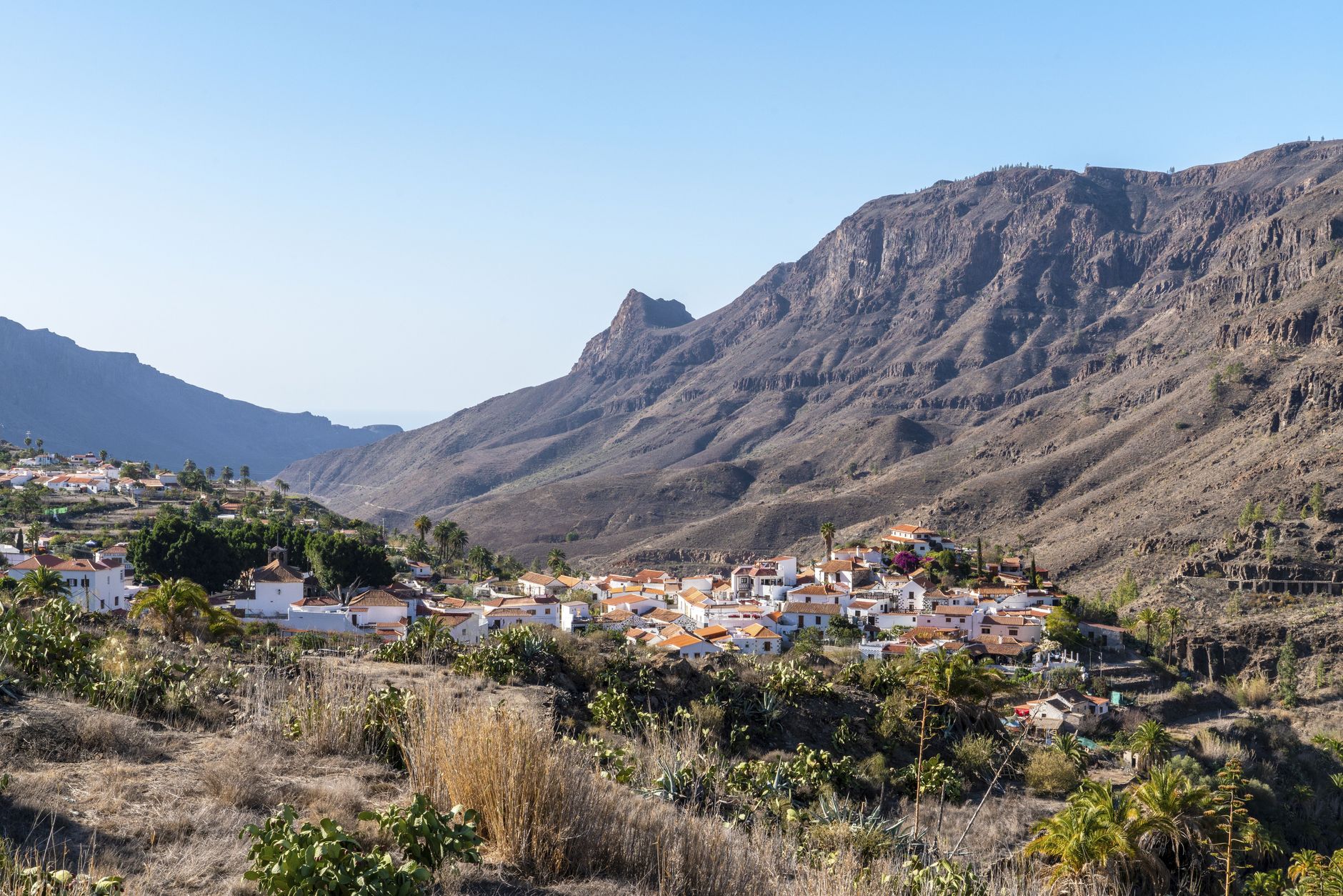 Genovesa Island Settlement