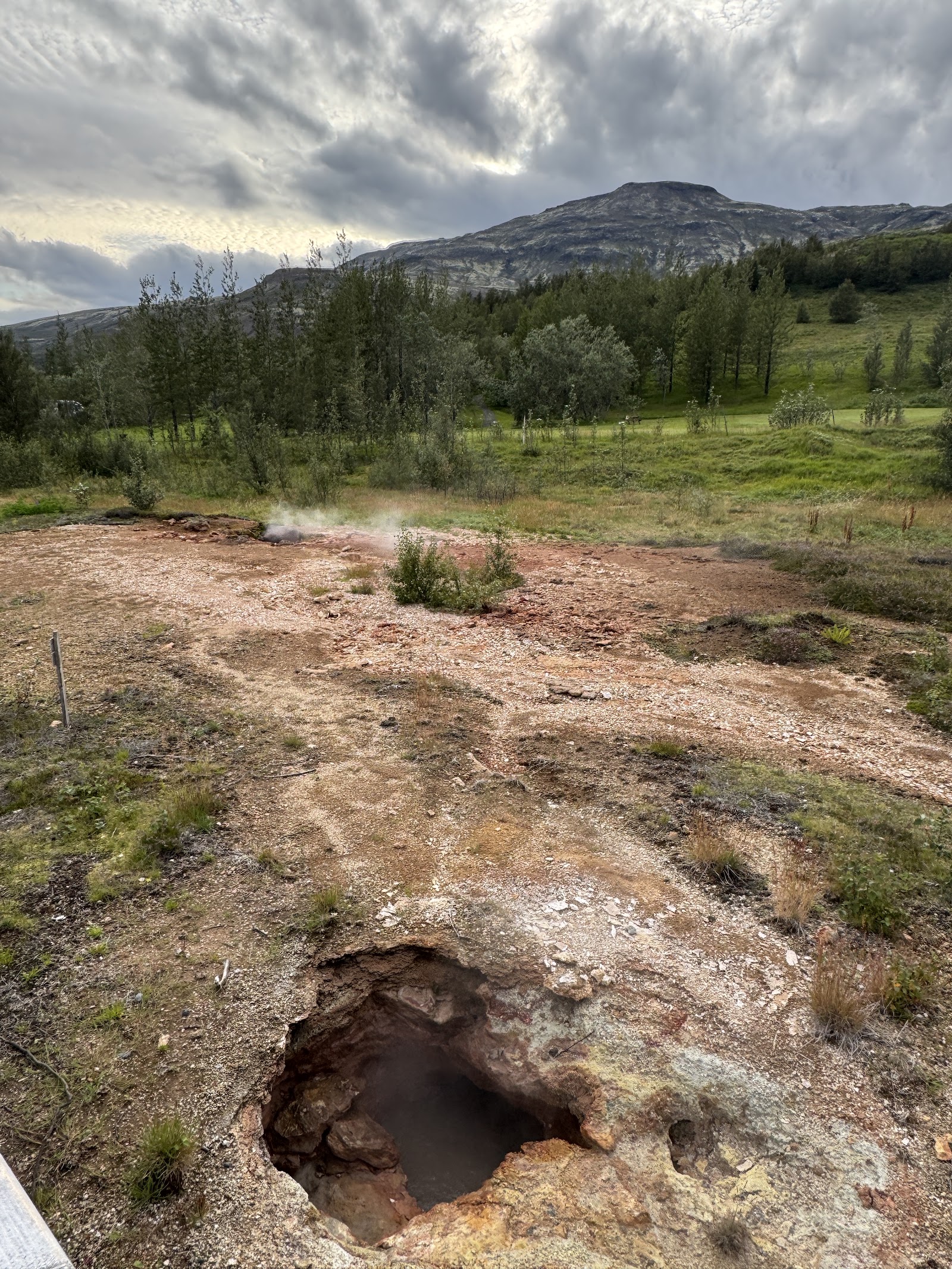 Geysir Geothermal Area