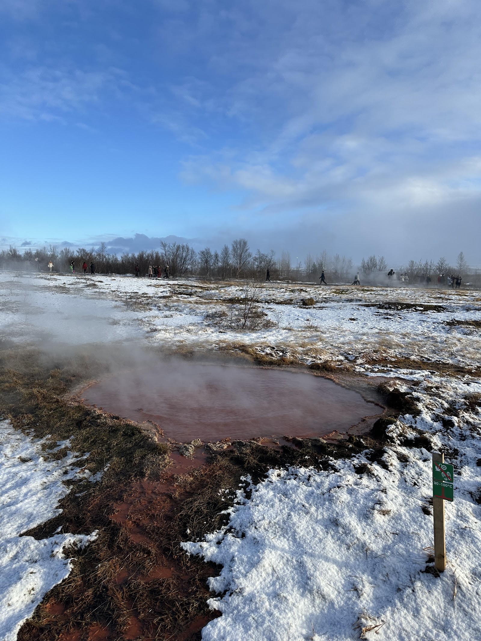 Geysir Geothermal Area
