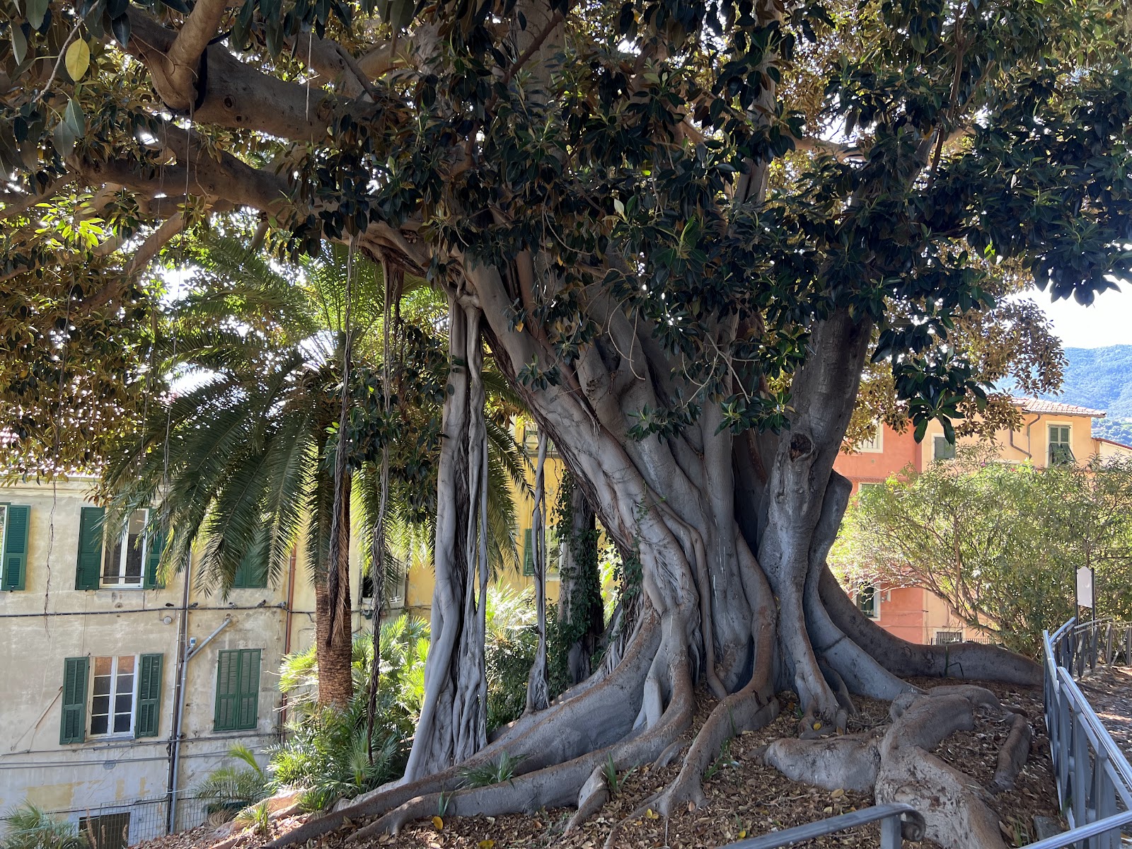 Giardini Regina Elena