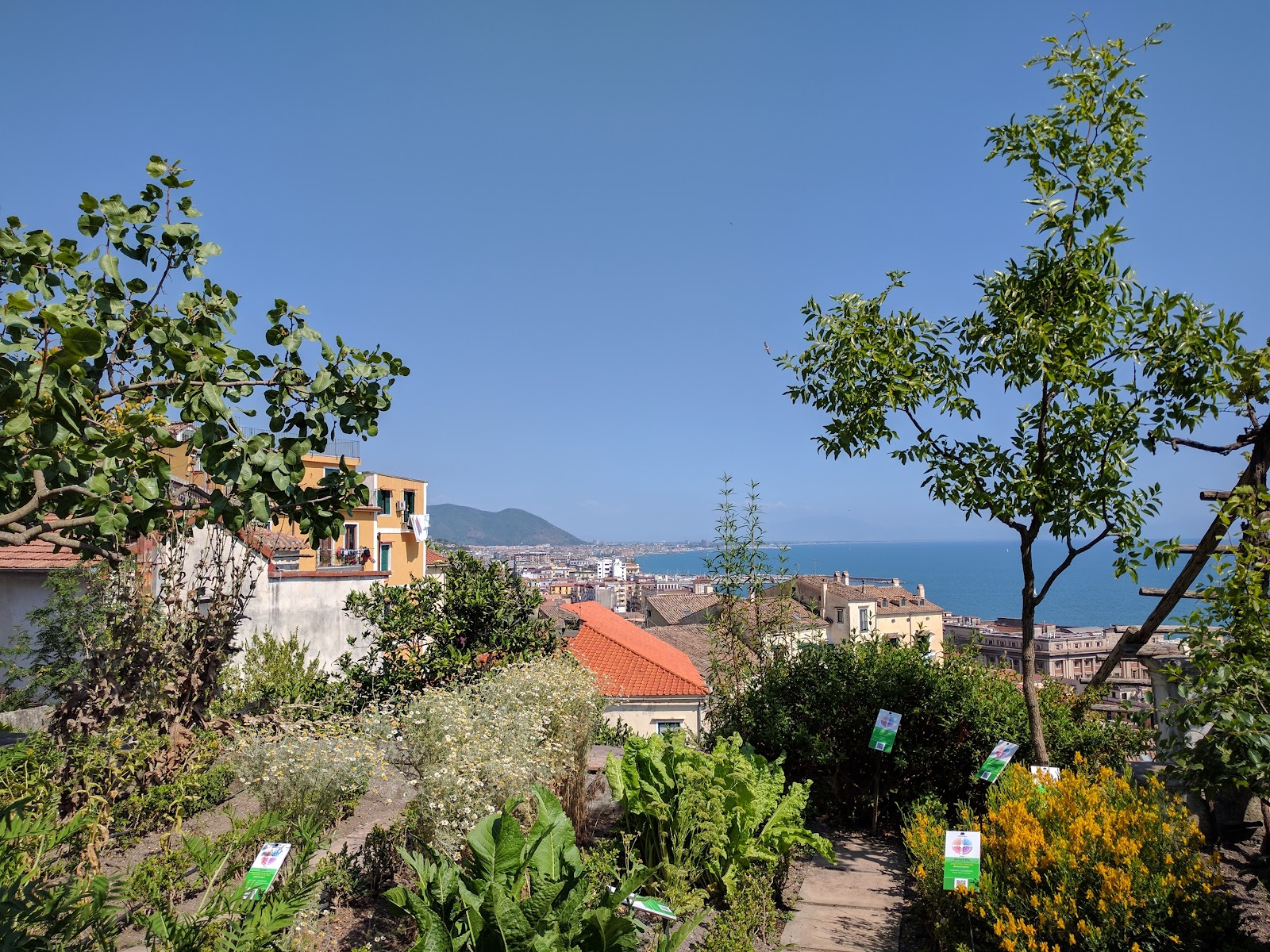 Giardino della Minerva