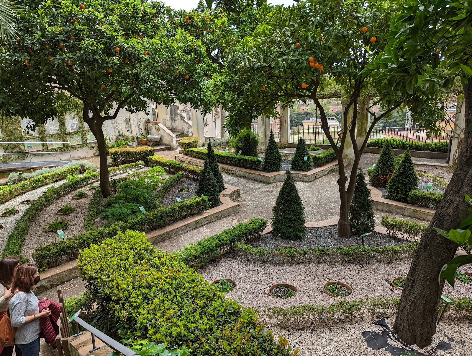 Giardino della Minerva