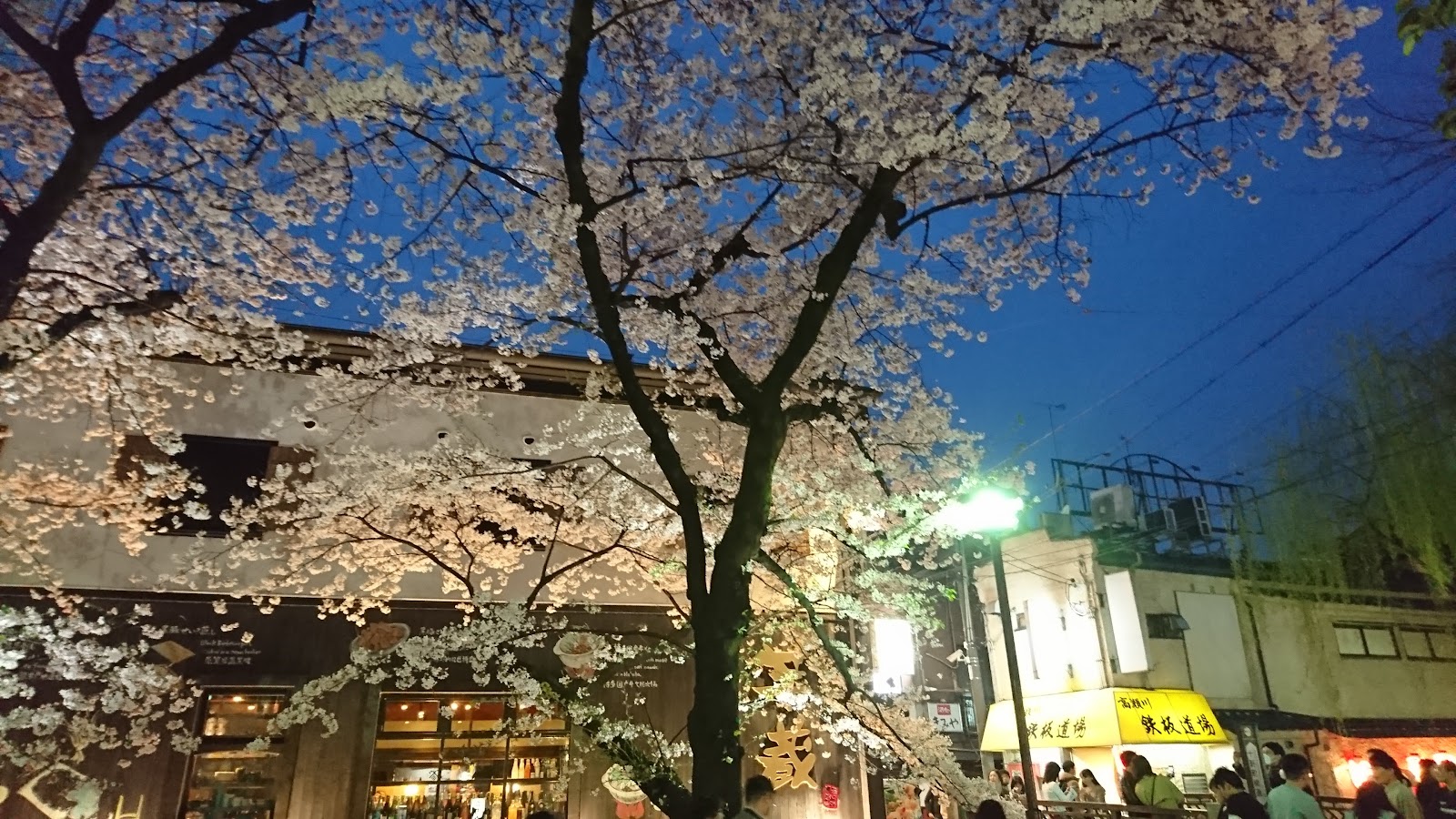 Gion District