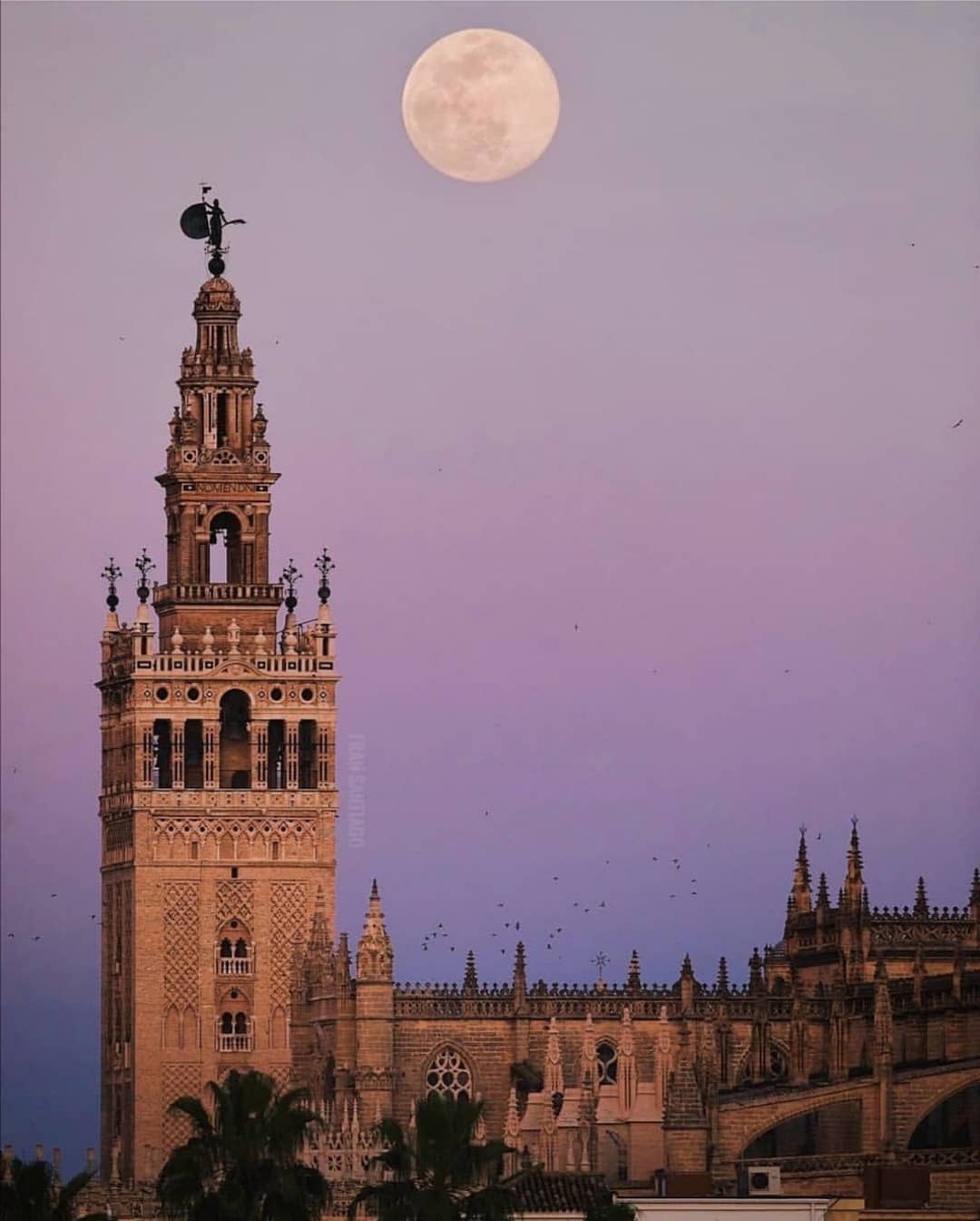 Giralda