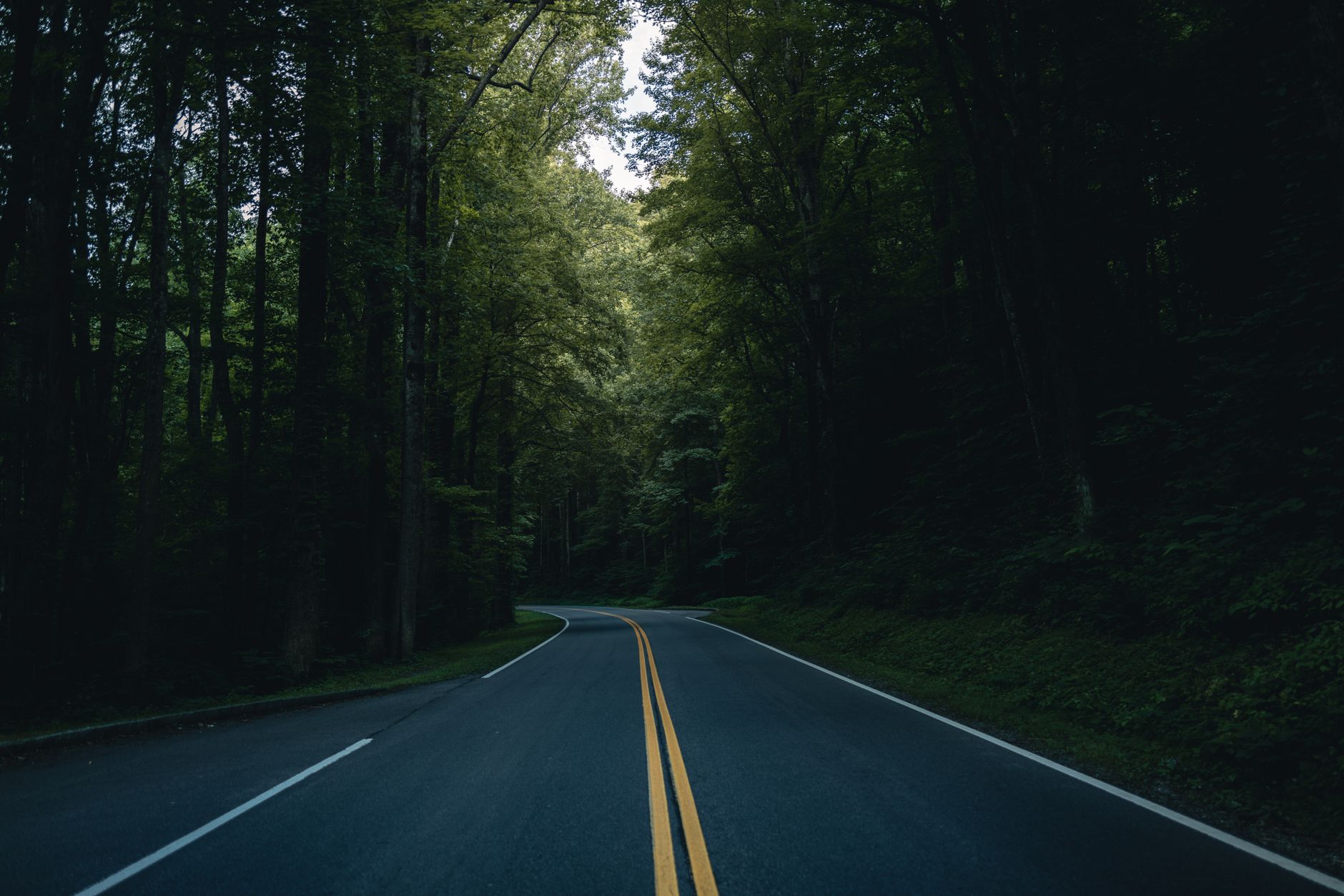 Great Smoky Mountains National Park