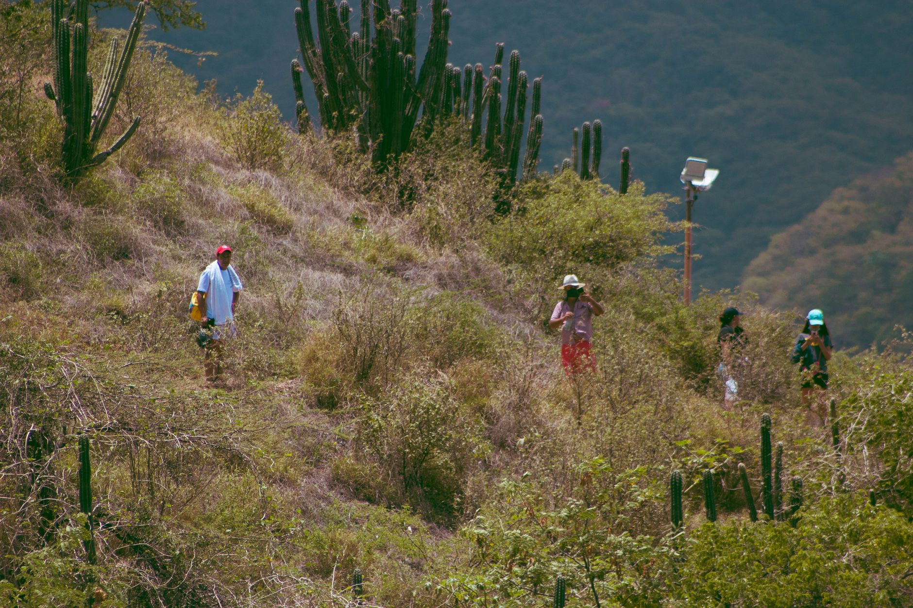Guanica Dry Forest
