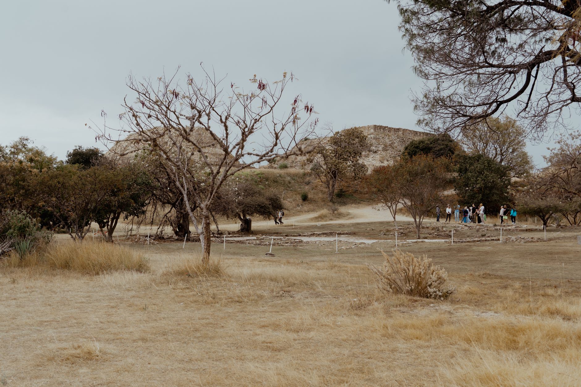 Guanica Dry Forest