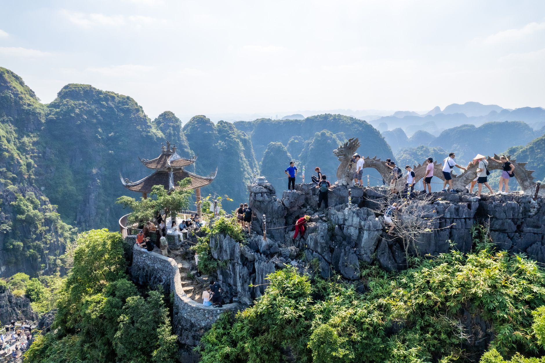 Ham Ninh