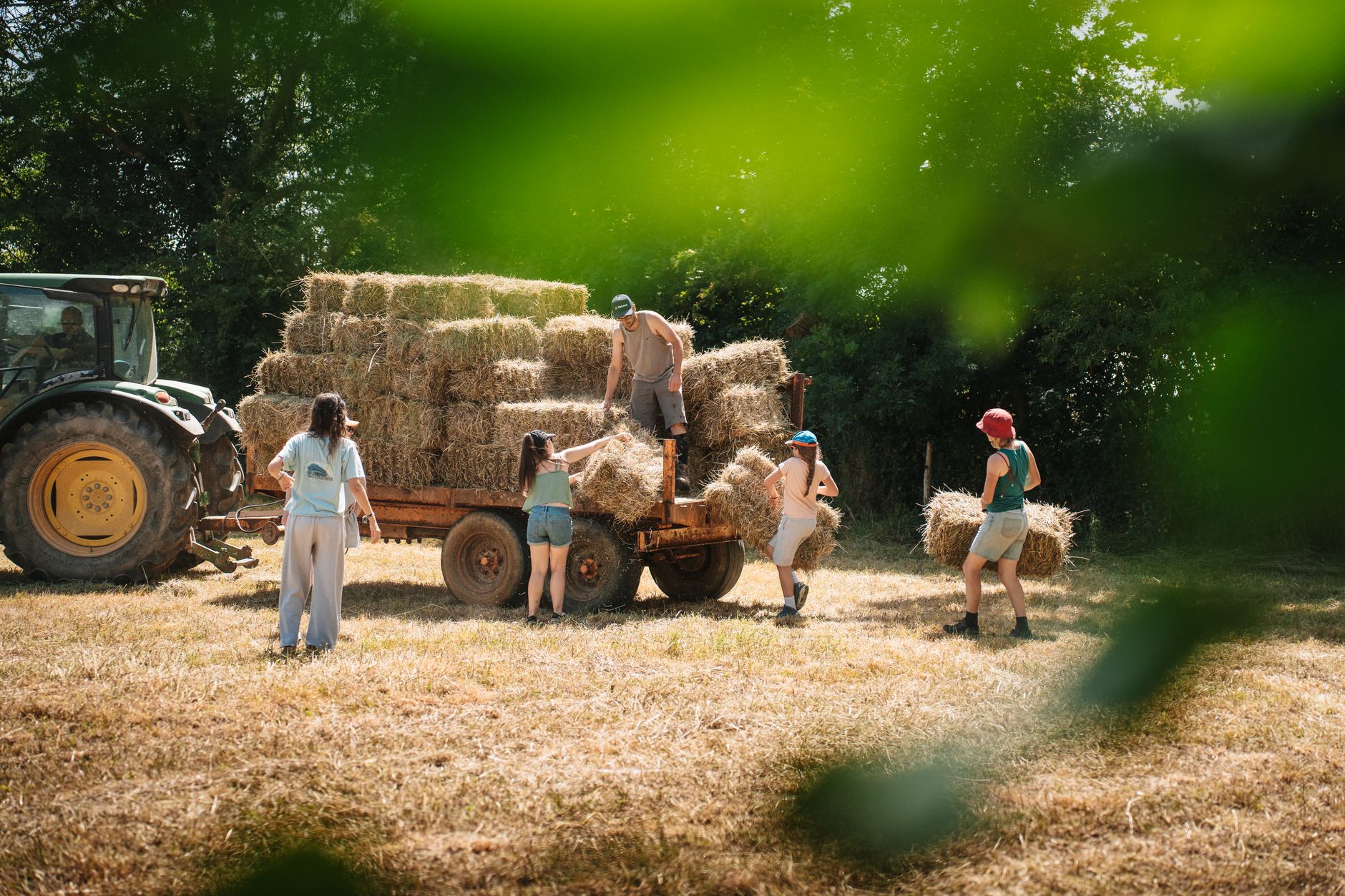 Hanley's Farm