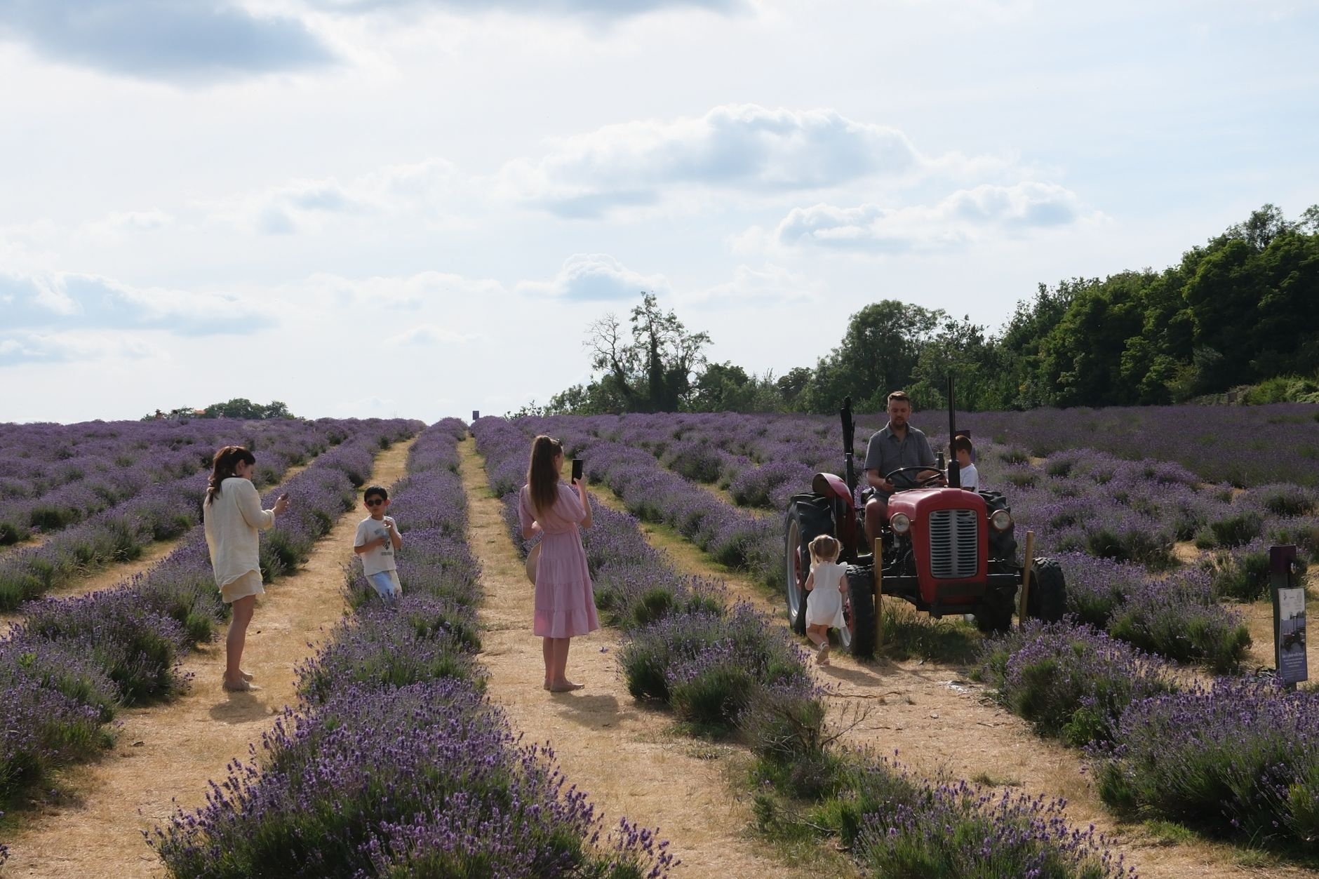 Hanley's Farm