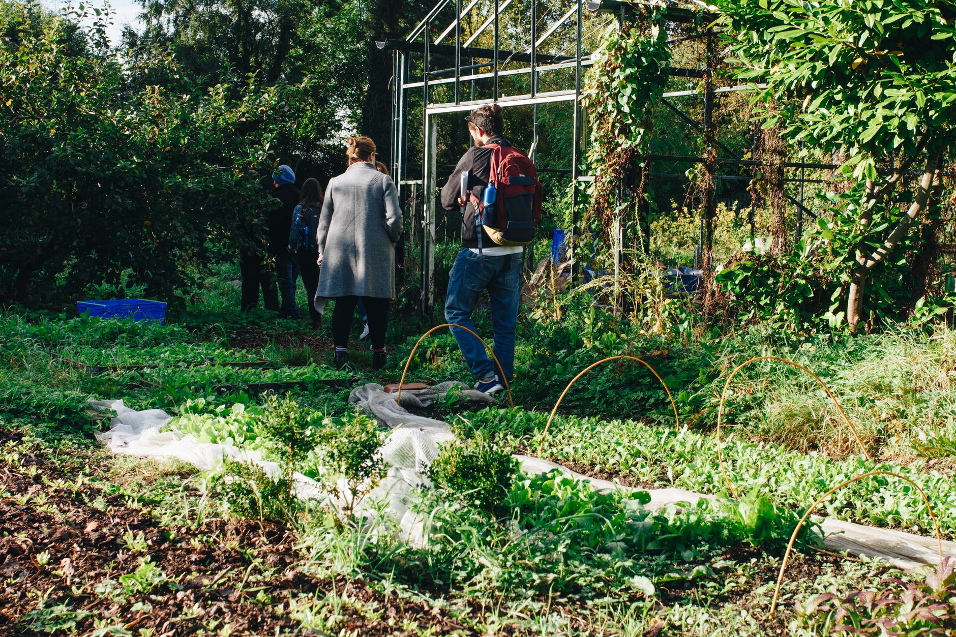 Hanley's Farm