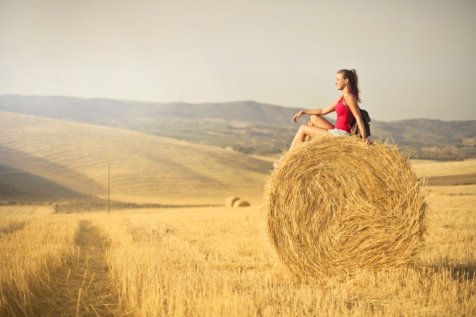 Hayfield