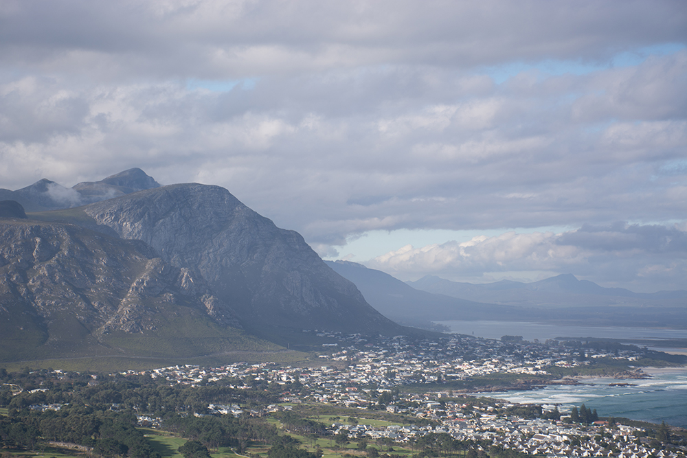 Hermanus