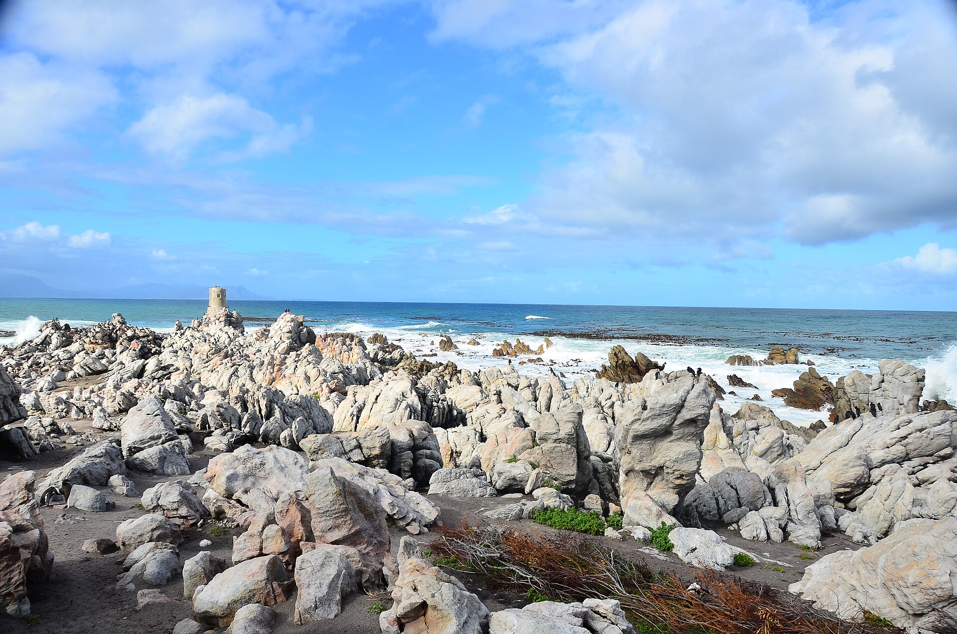 Hermanus