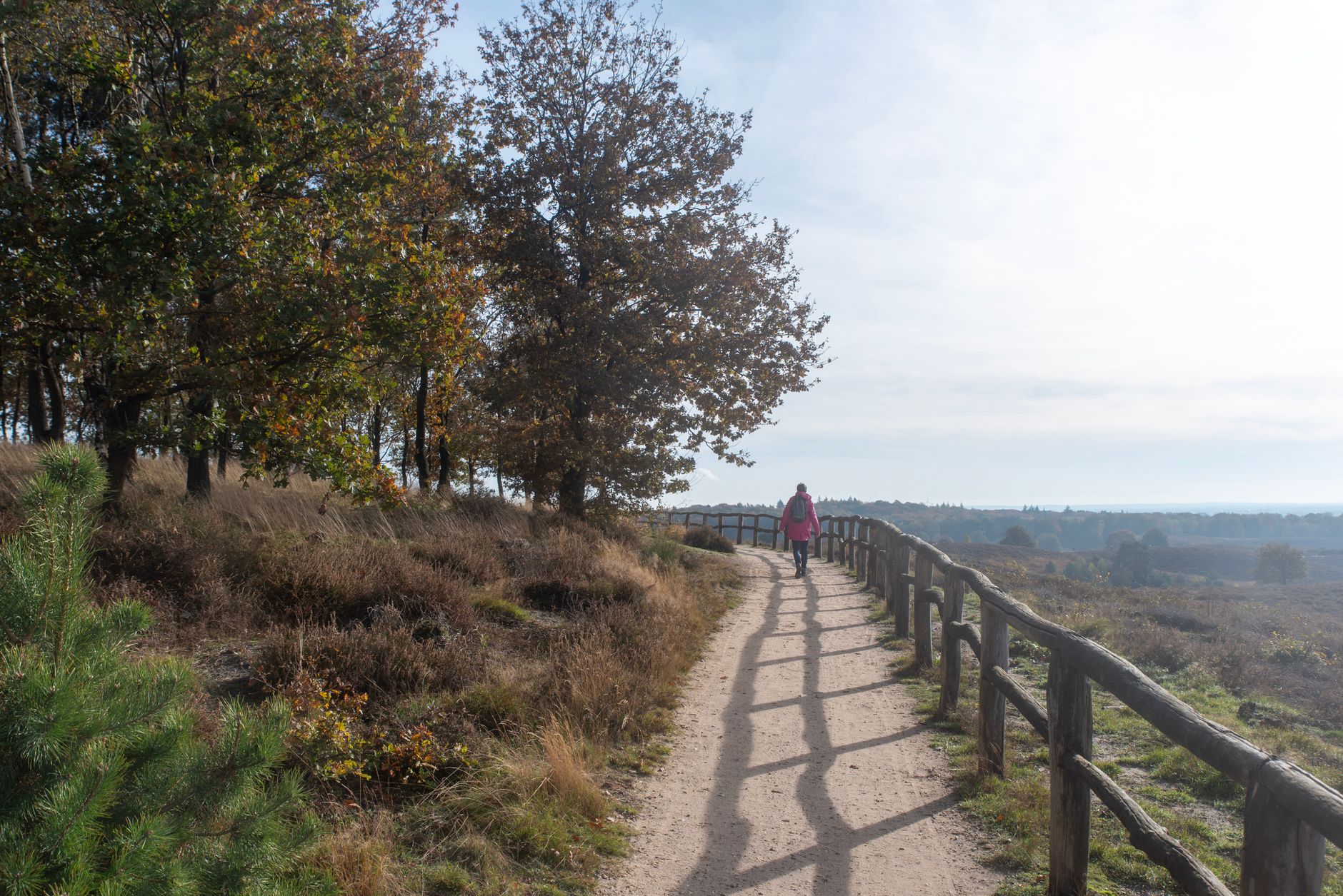 Hoge Veluwe National Park