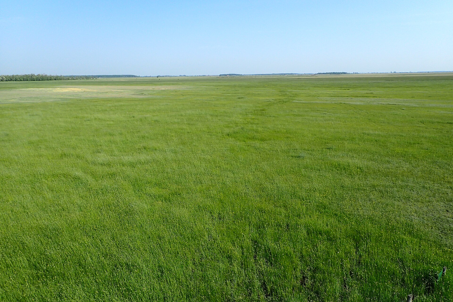 Hortobágy National Park