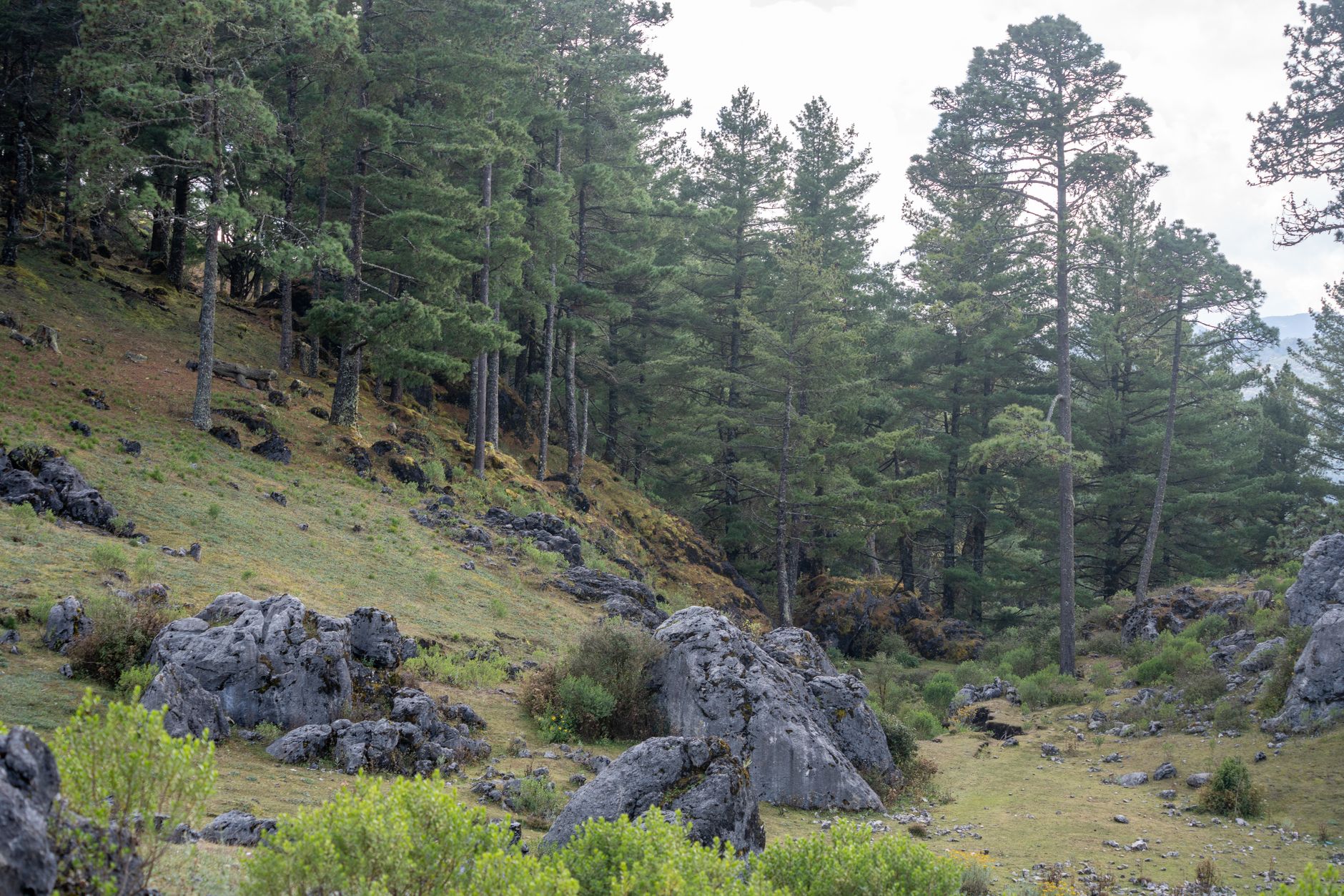 Huehuetenango