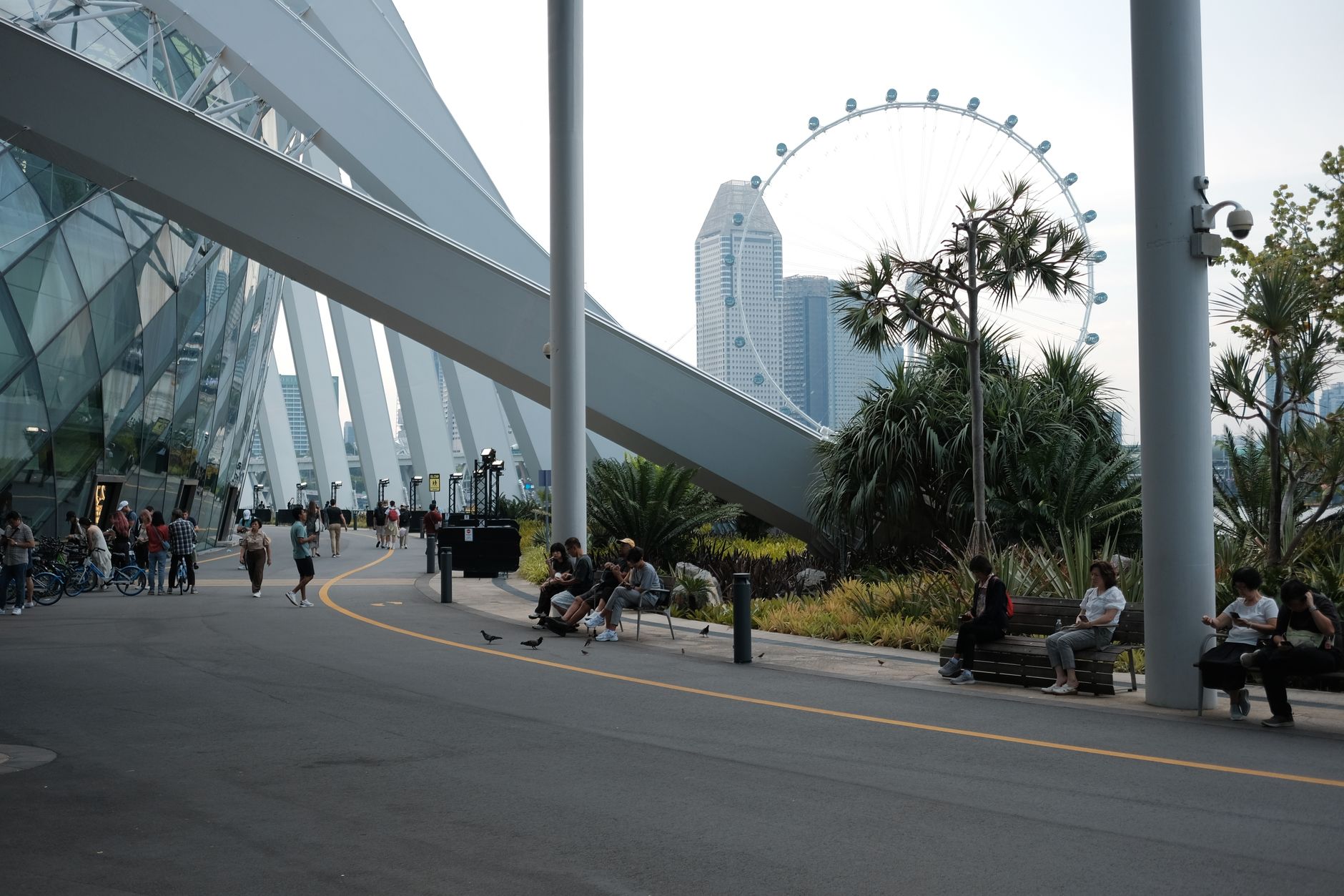 ICON Park
