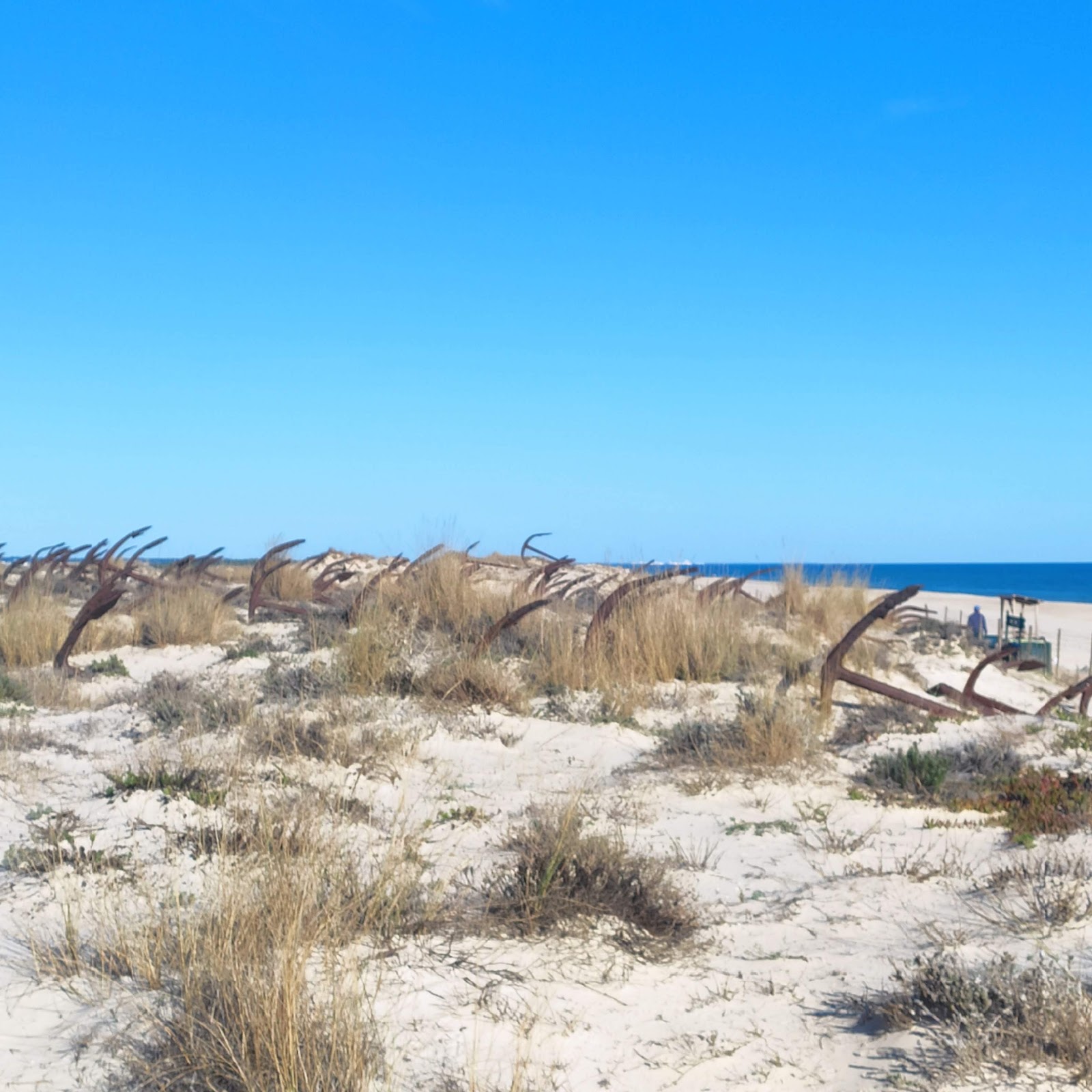 Ilha de Tavira