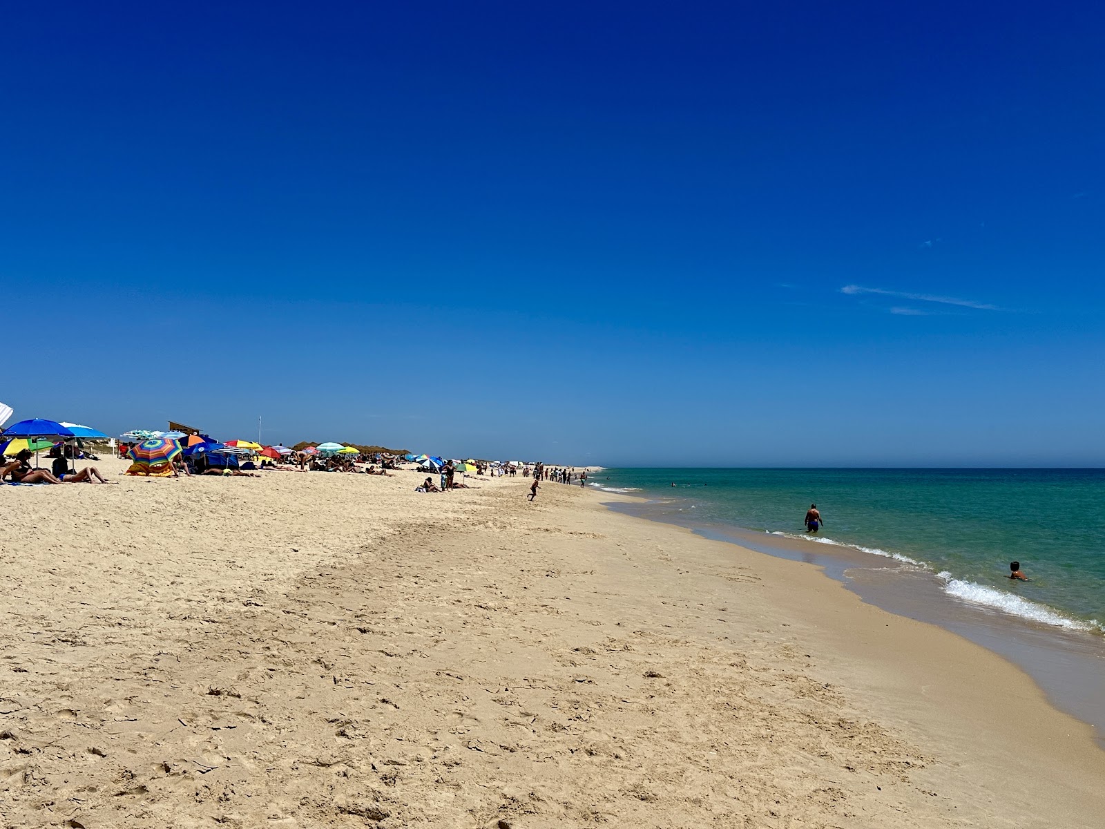 Ilha de Tavira