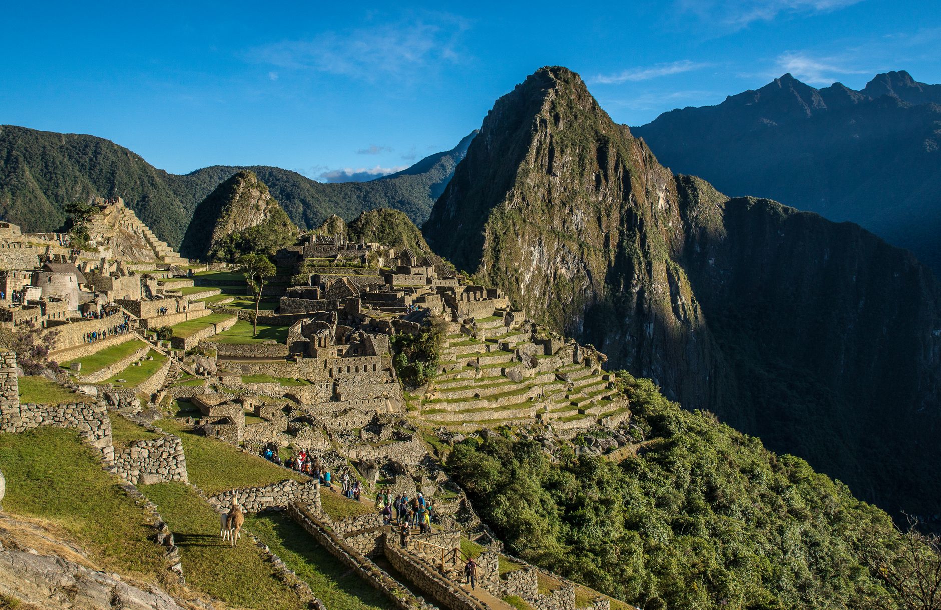Inca