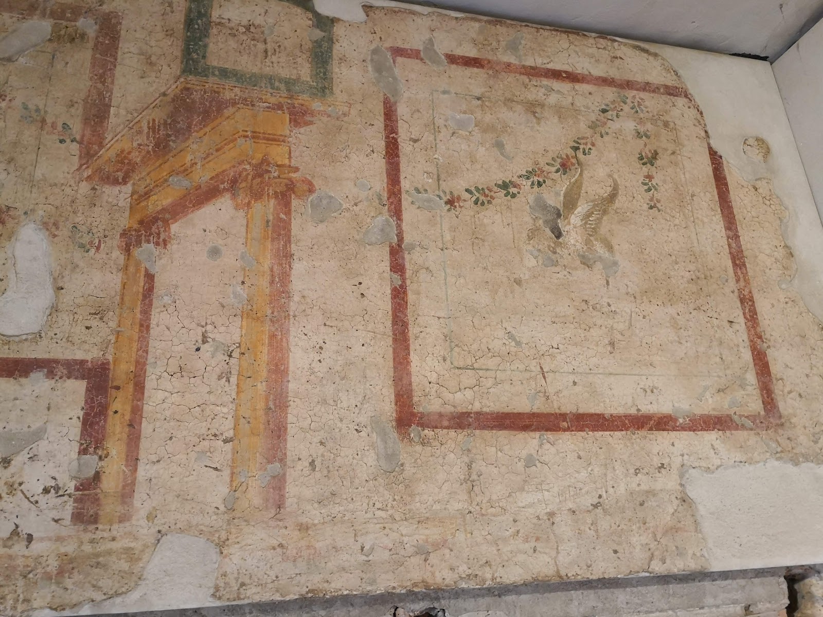 Insula of Diana