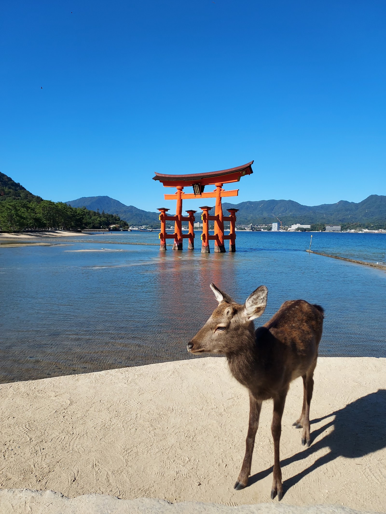 Itsukushima Floating Torii Gate