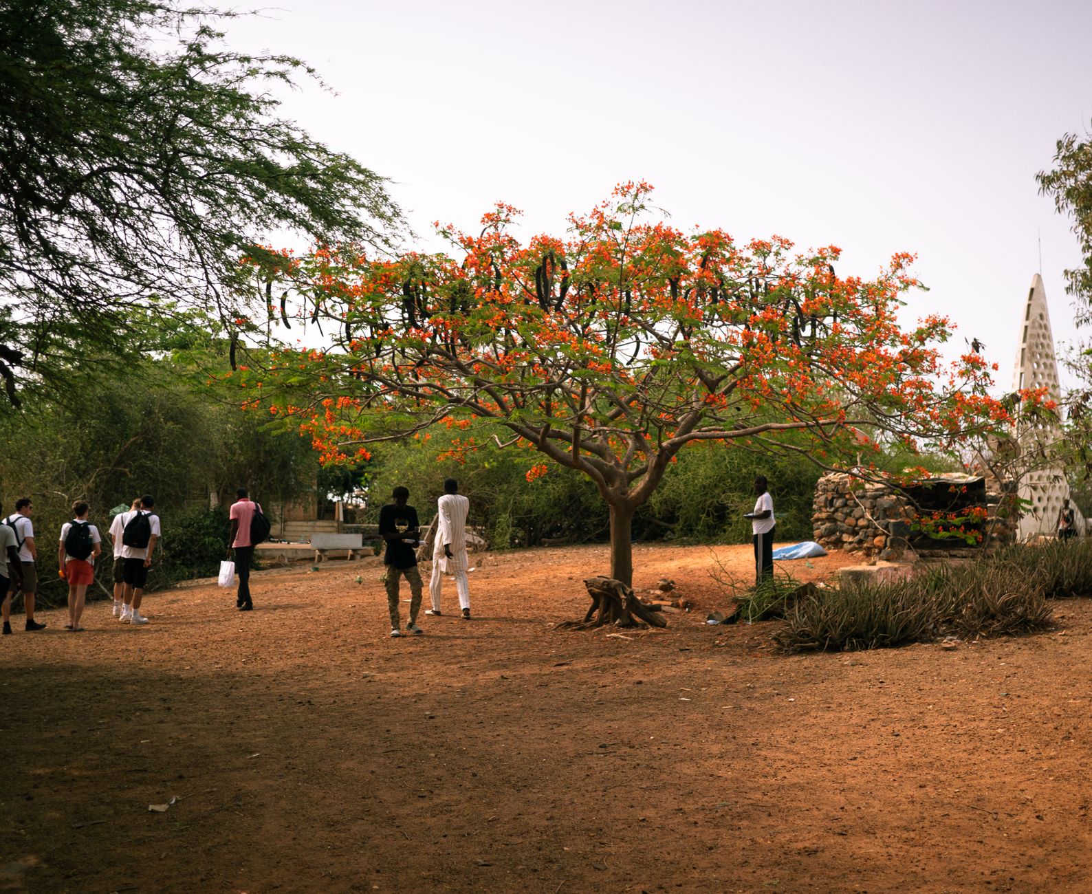 Jardin Botanique Val Rahmeh