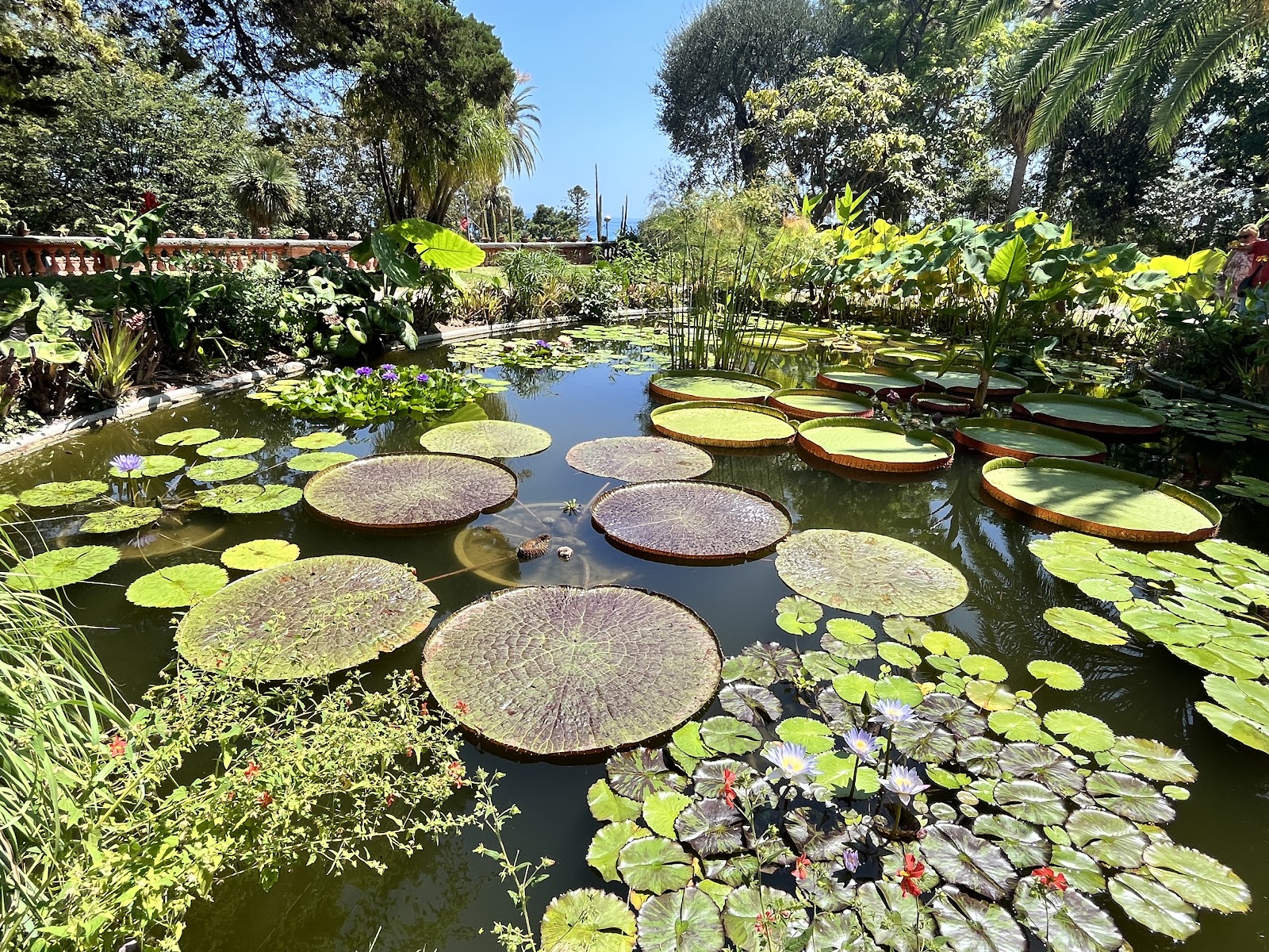 Jardin Botanique Val Rahmeh
