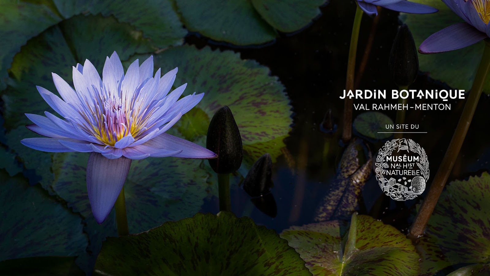 Jardin Botanique Val Rahmeh