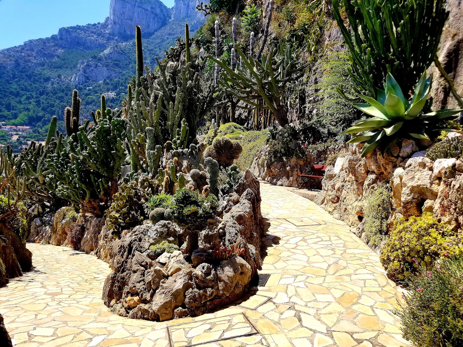 Jardin Exotique de Monaco